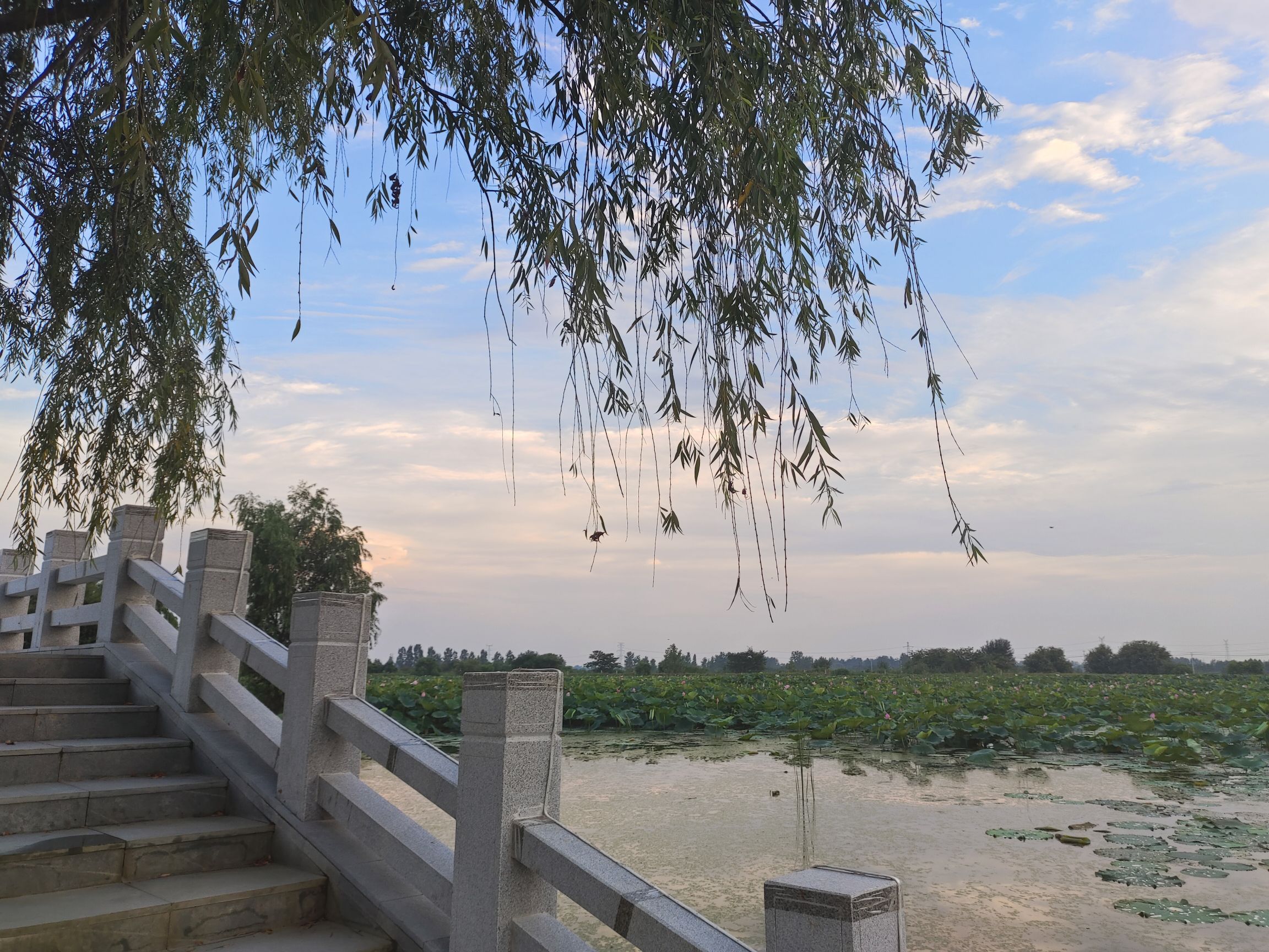 大渔滩湿地旅行图片