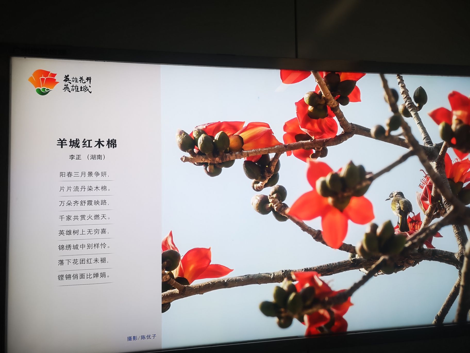 安平公园