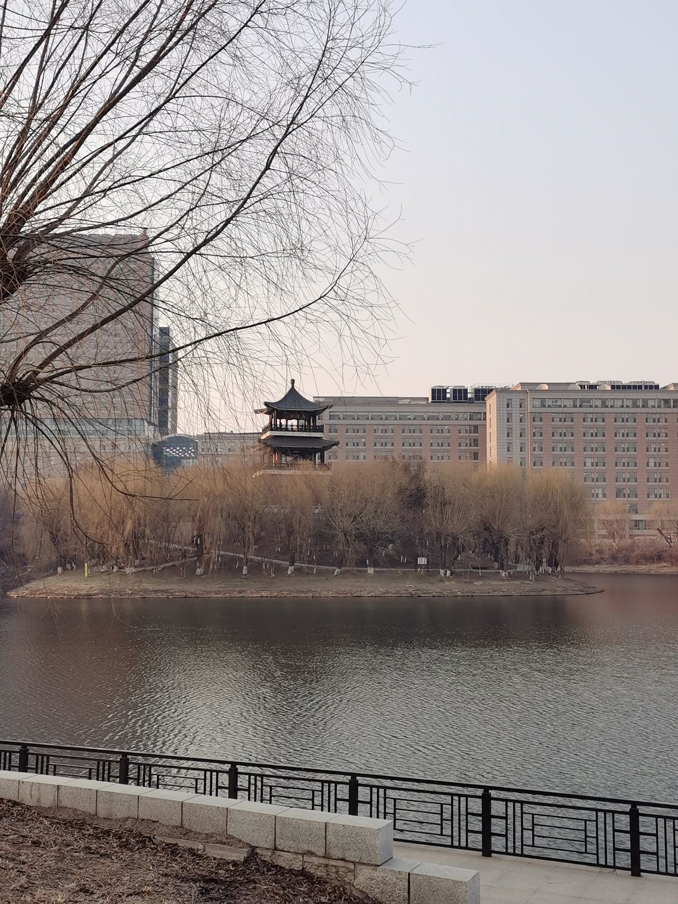 长春德苑