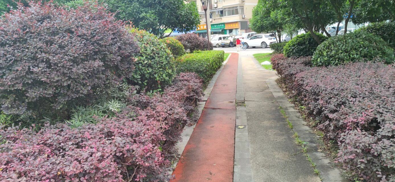 融侨悦动公园