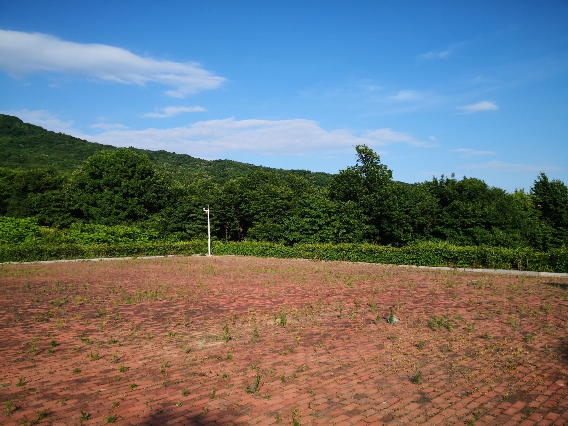 长寿山国家森林公园