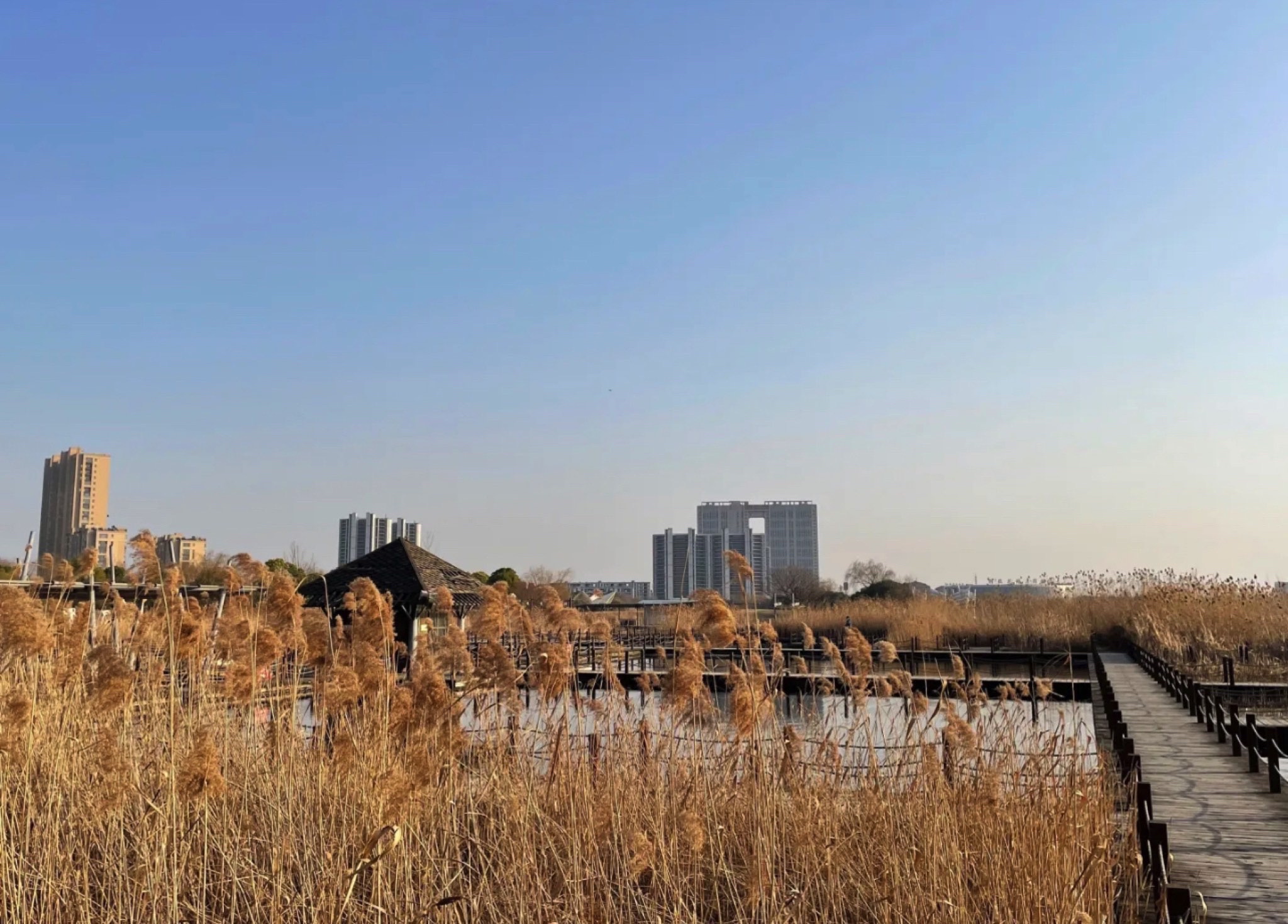 红学公园旅行图片