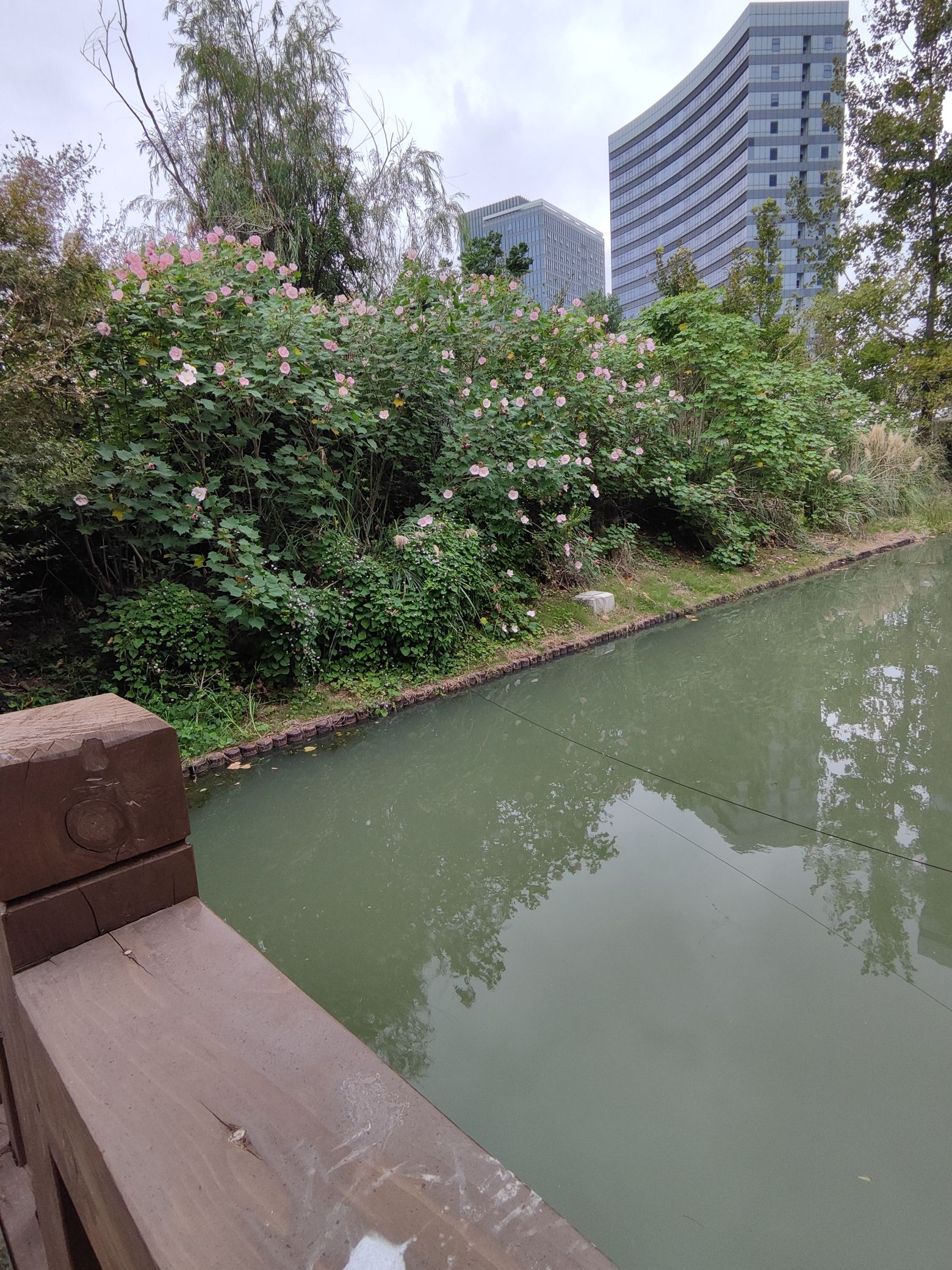 栅桥公园