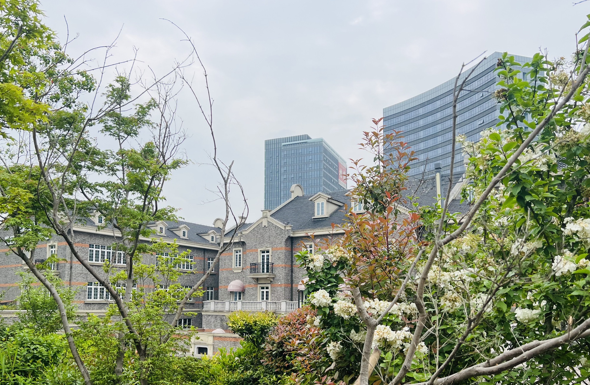 栅桥公园旅行图片