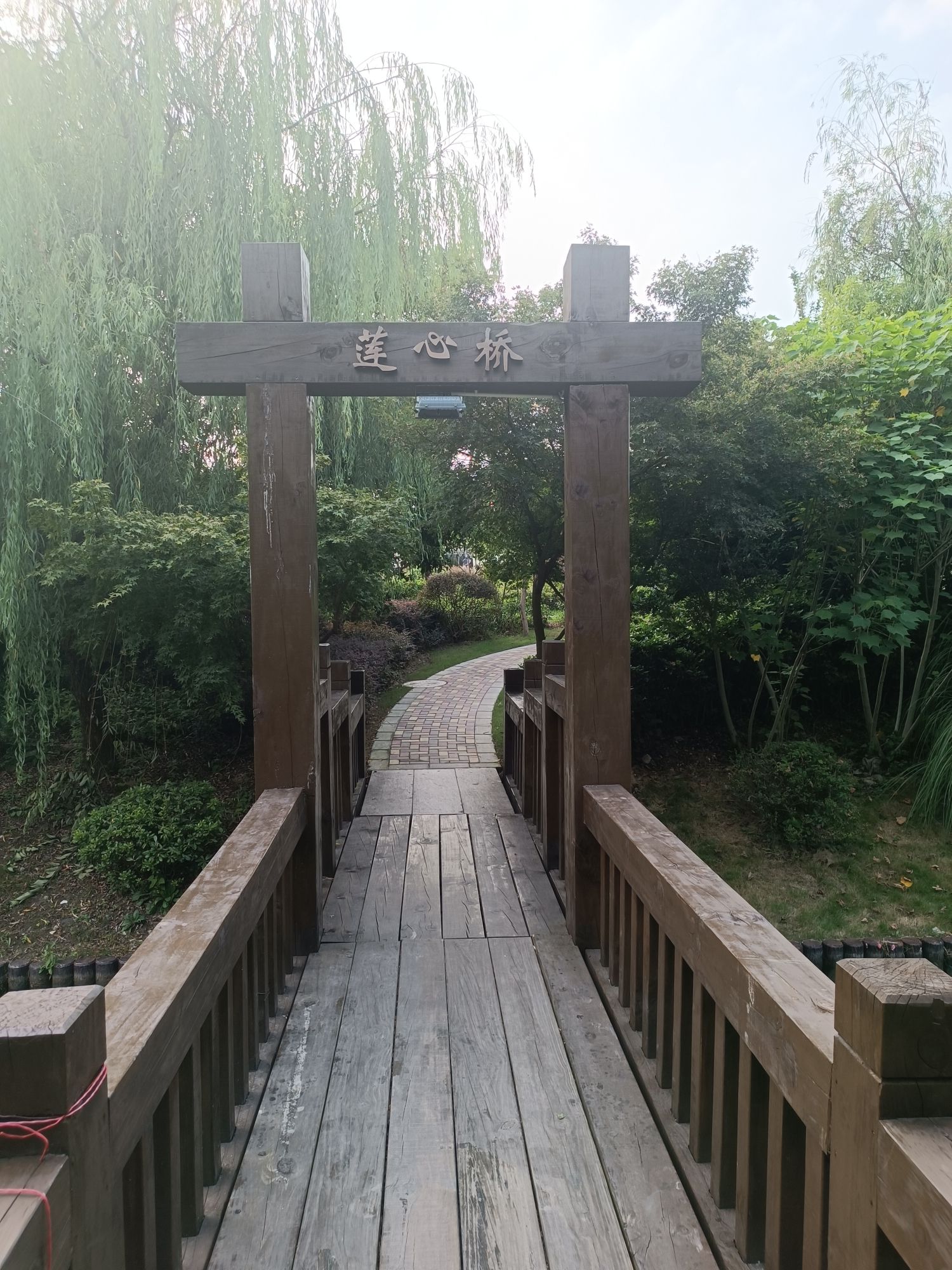 栅桥公园旅行图片