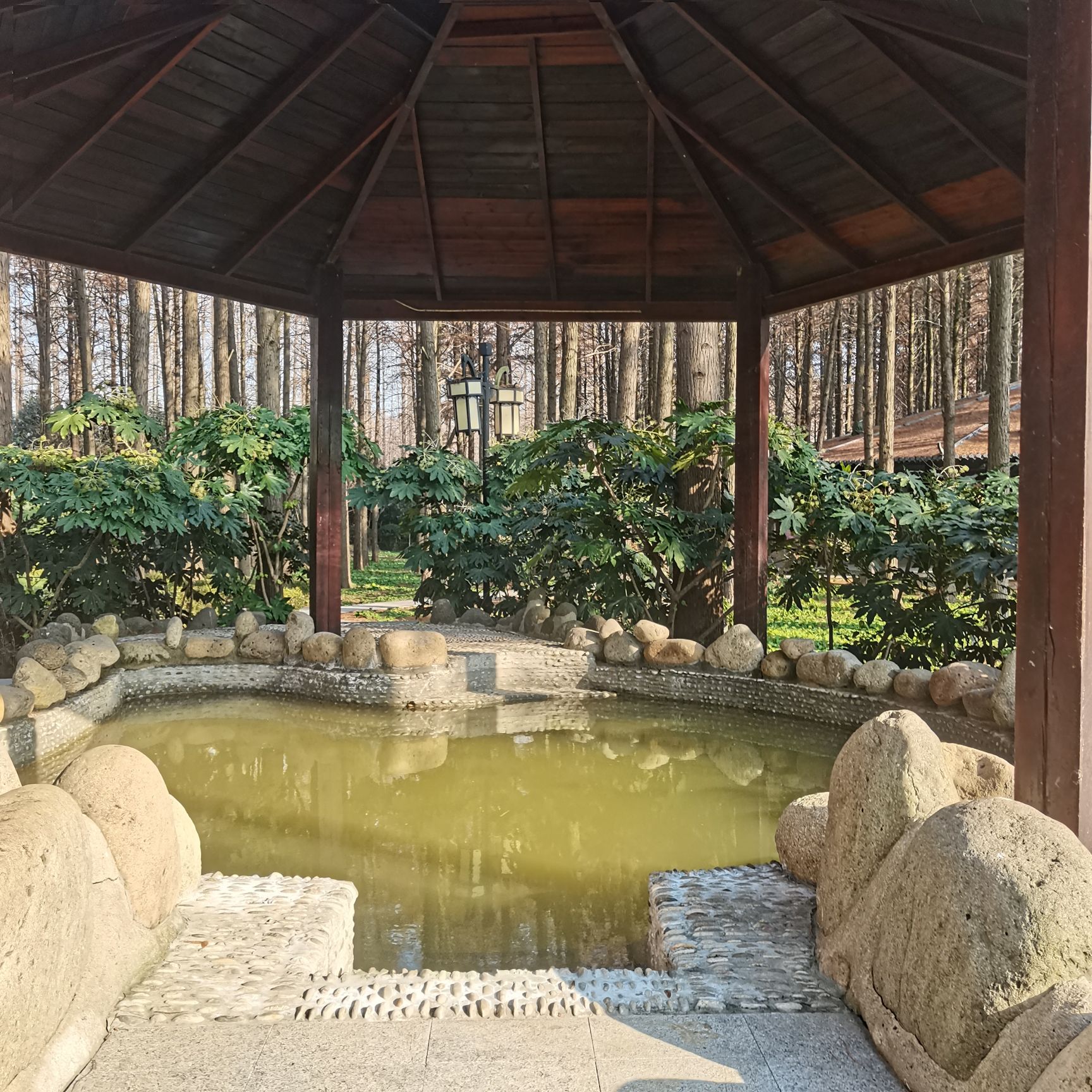 泗洪洪泽湖湿地温泉度假村旅行图片