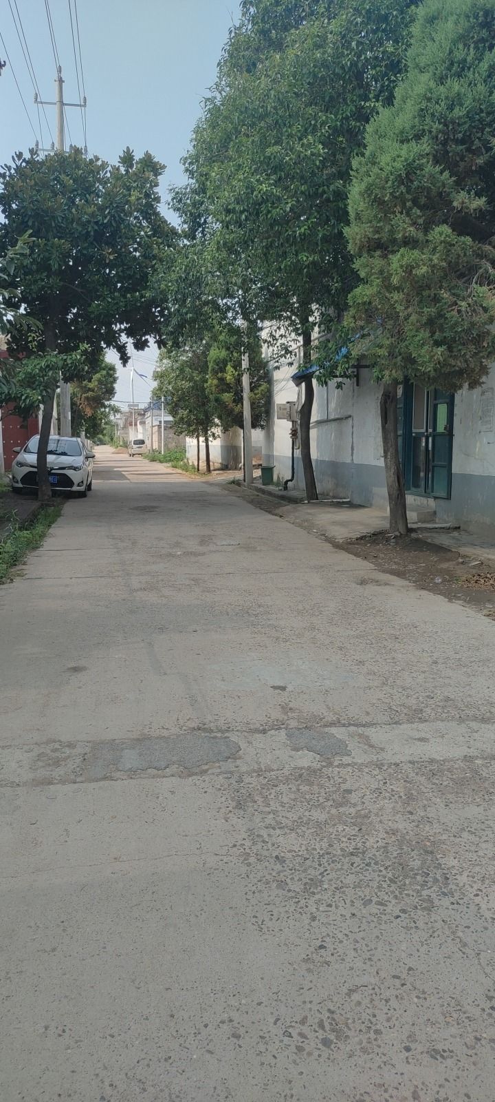 周旗营村广场