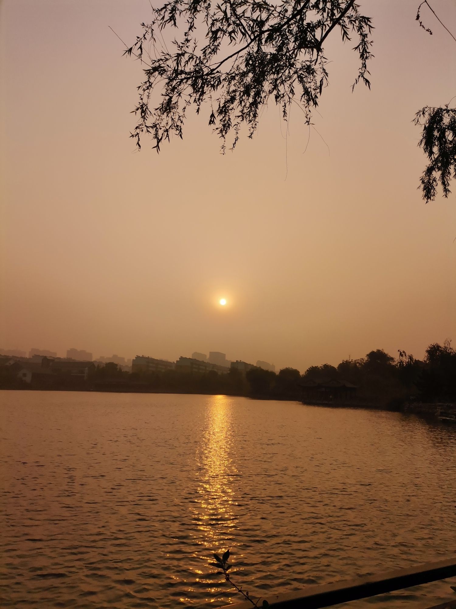 泗水圣源湖公园旅行图片