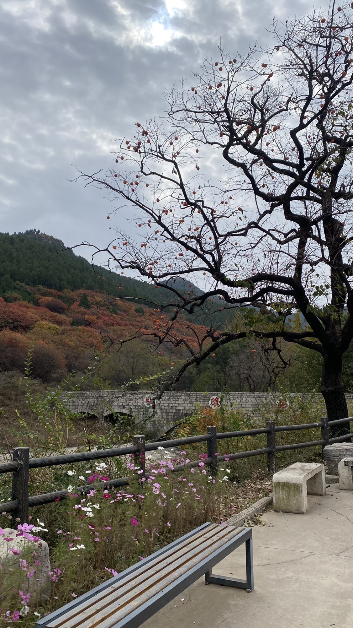 官护山景区