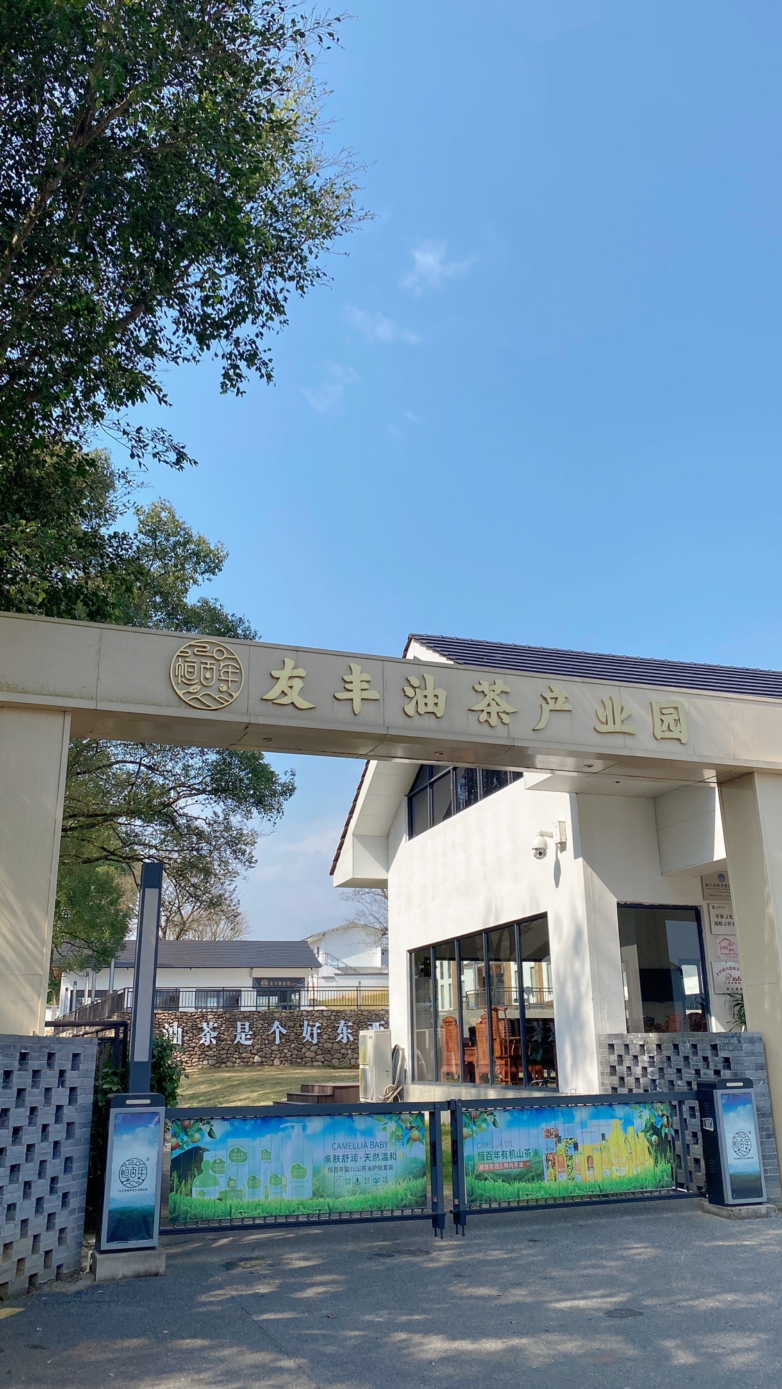 茶花森林公园旅行图片