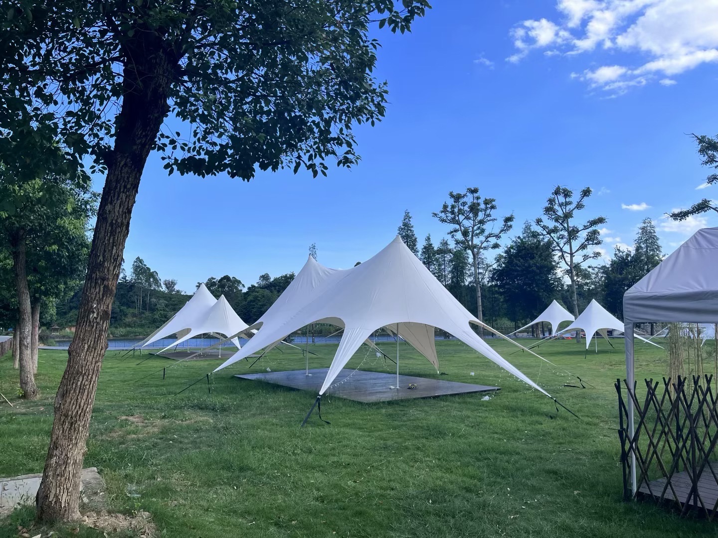 茶花森林公园旅行图片