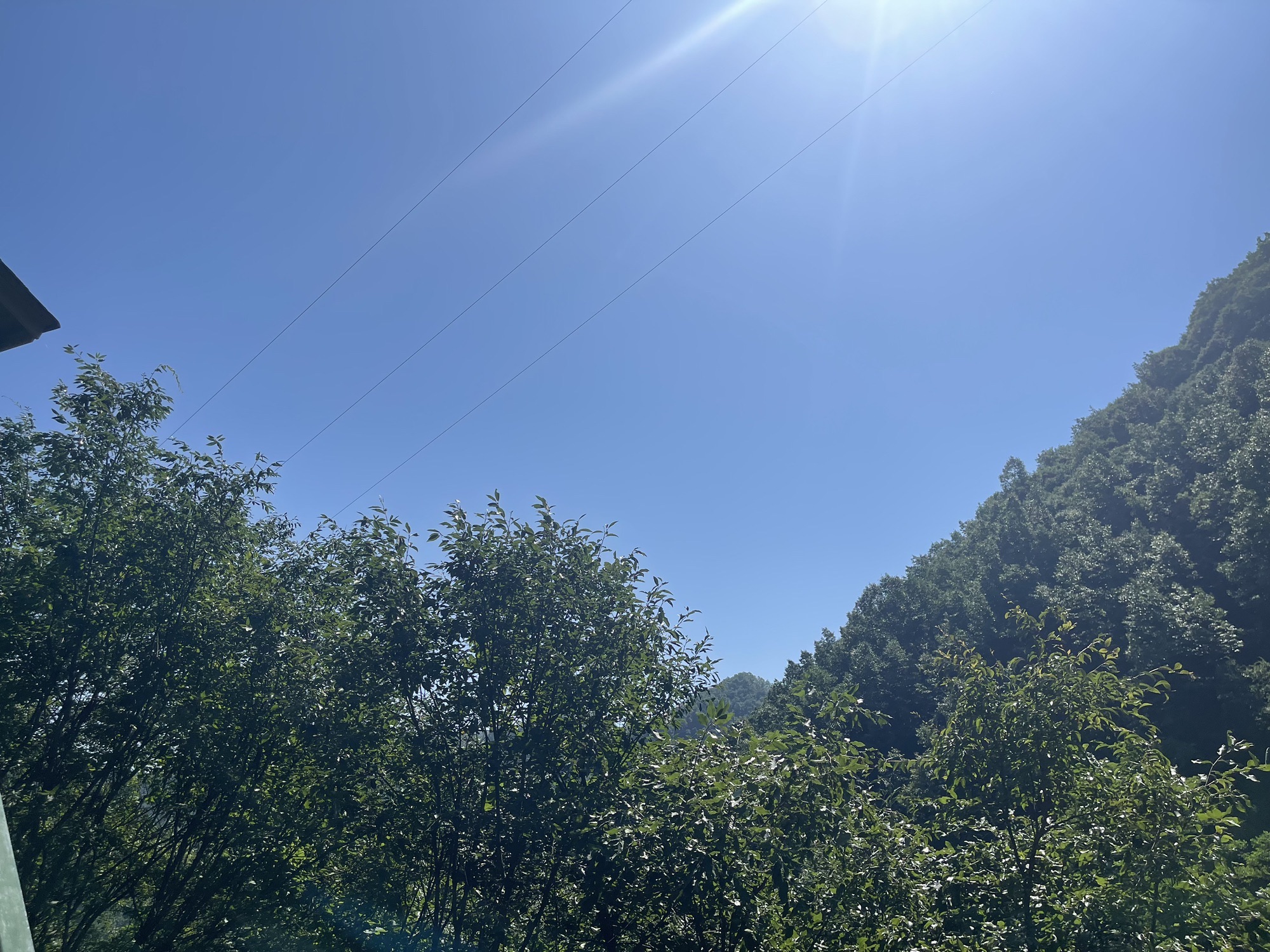 王府竹海度假旅游区