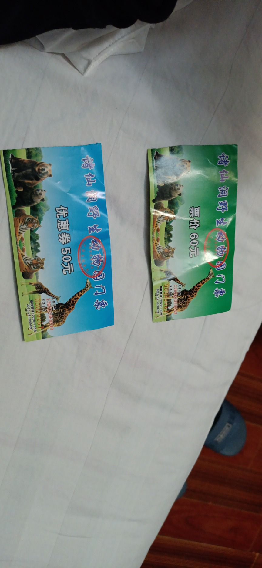 景德镇诸仙洞野生动物园旅行图片