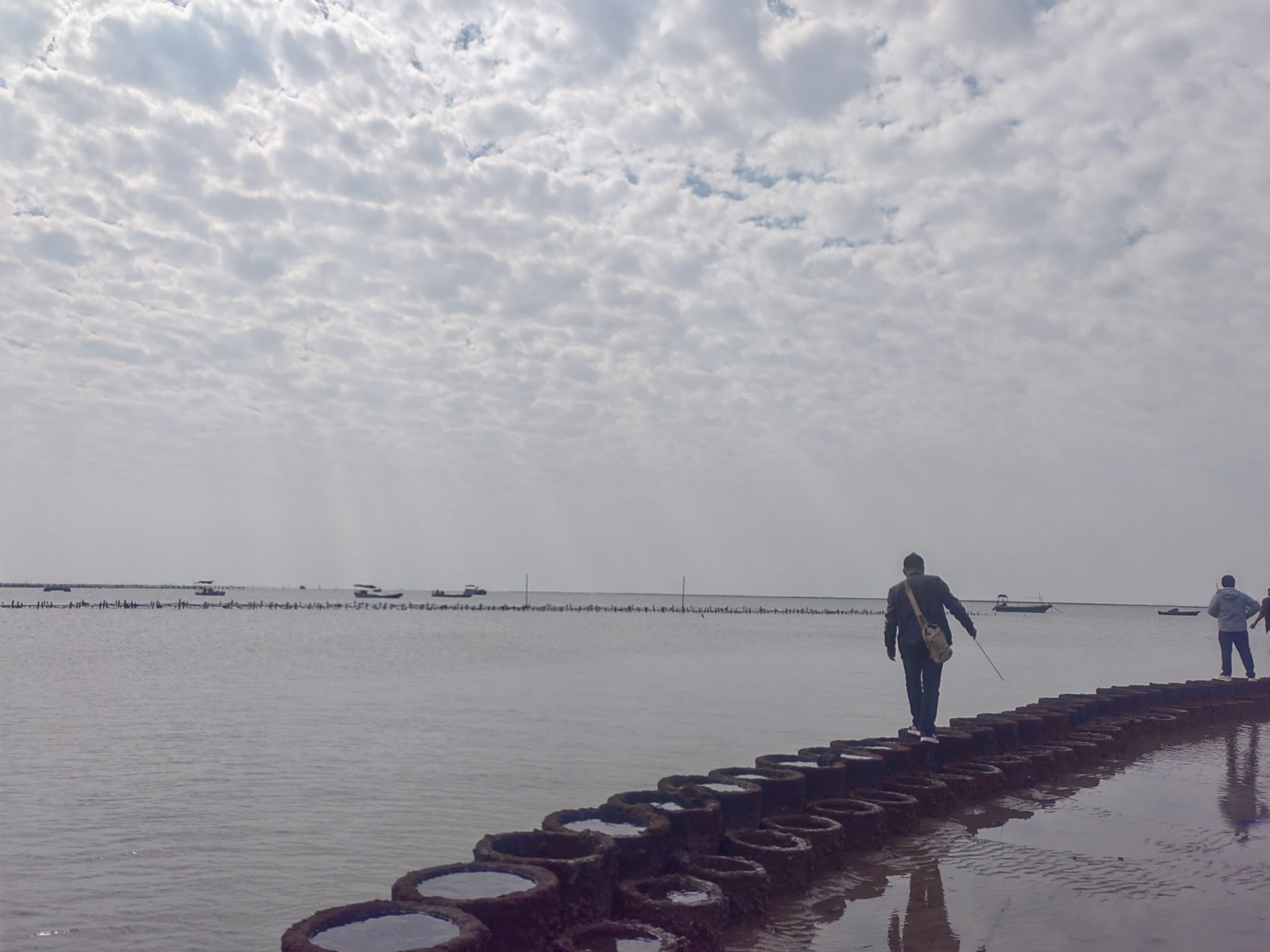 湛江东海龟头村海豚湾旅行图片