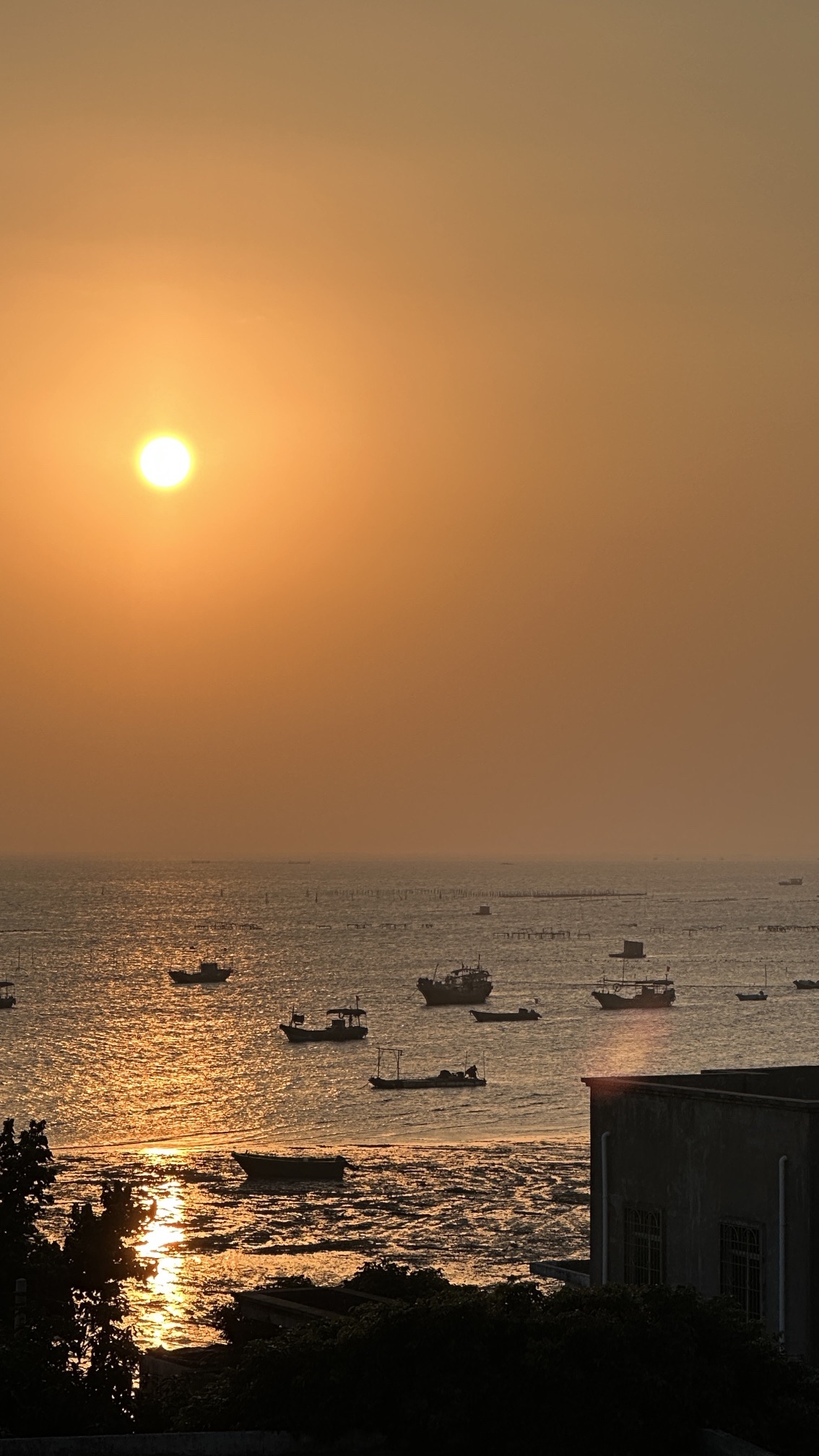 湛江东海龟头村海豚湾旅行图片