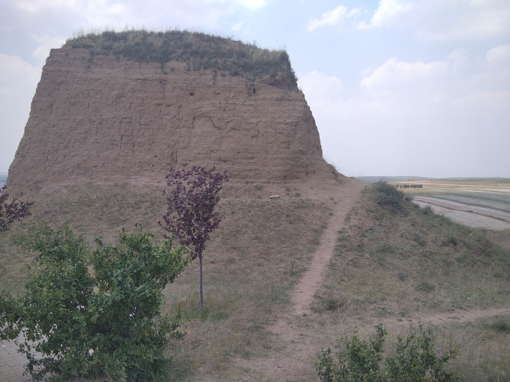 新荣区明长城遗址旅行图片