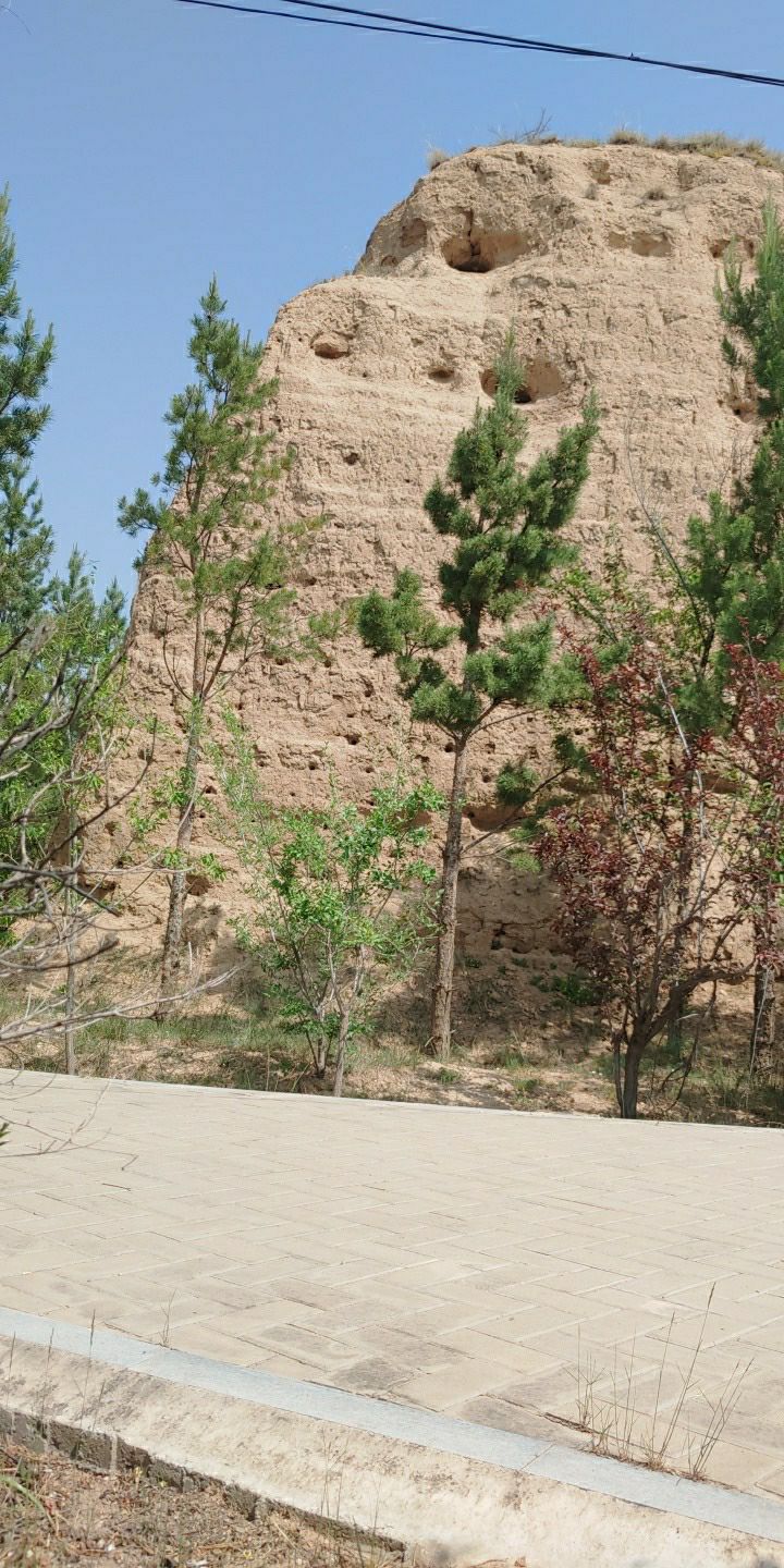 新荣区明长城遗址旅行图片