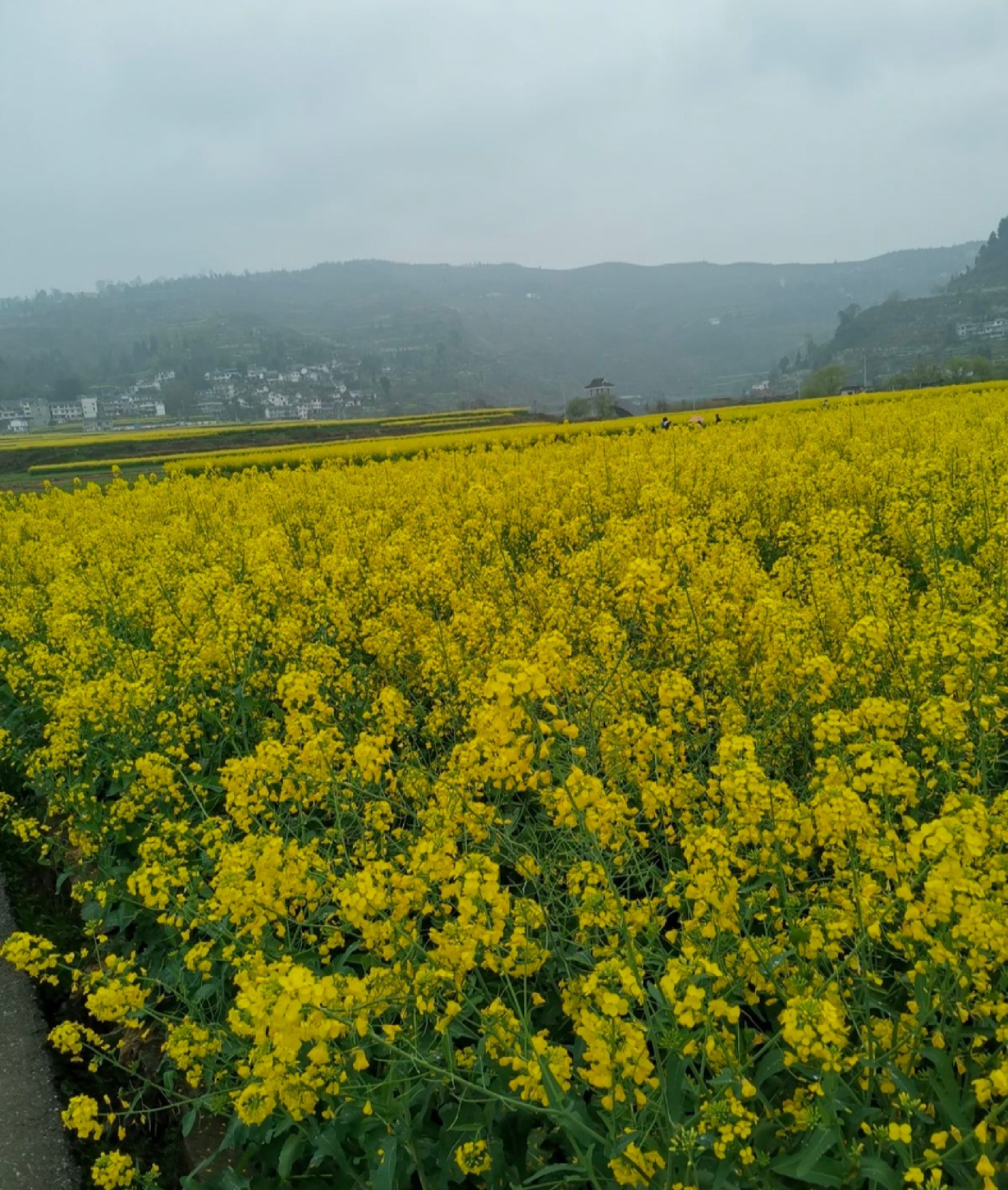 十里画廊旅游区