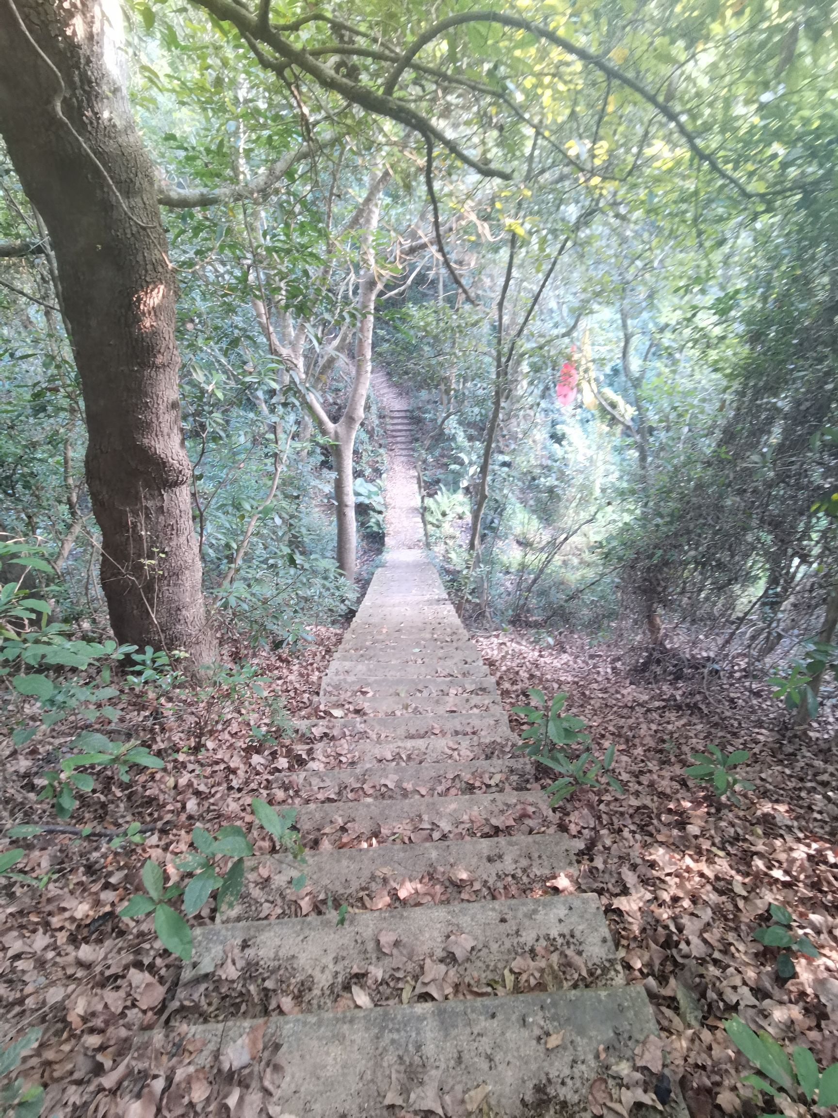 Hello青巽山景区