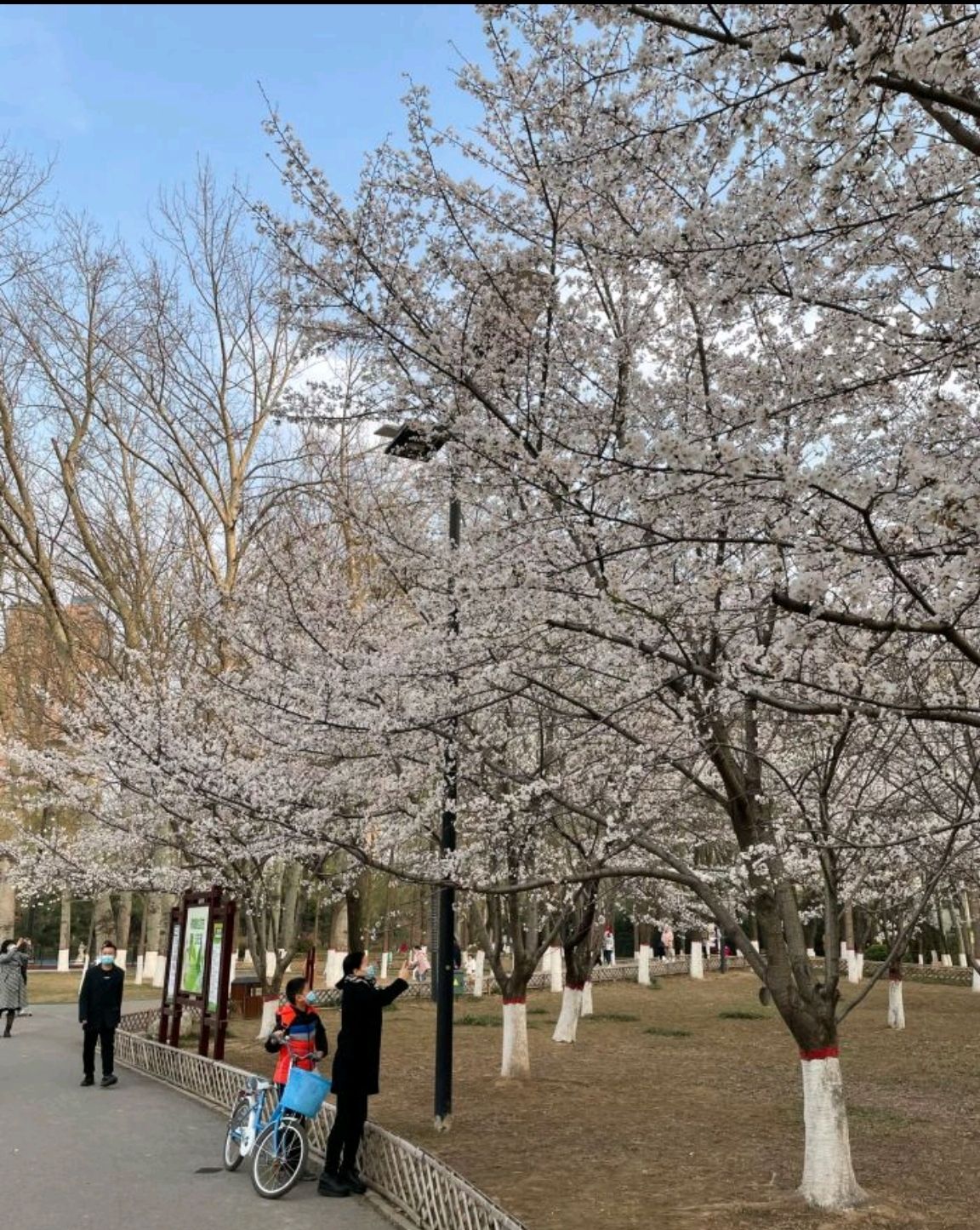 濮阳世纪森林公园