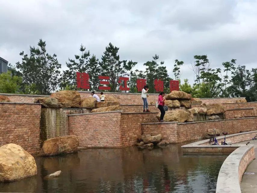 建三江植物园旅行图片