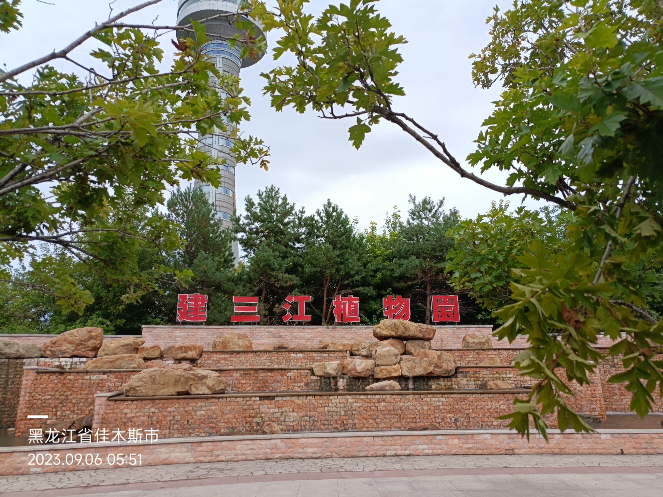 建三江植物园旅行图片