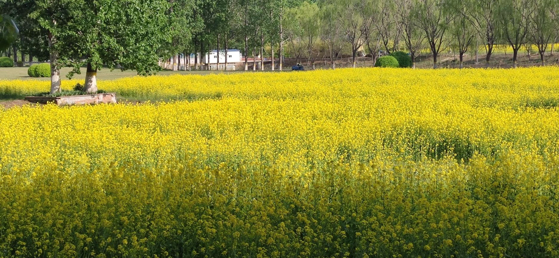 河畔花谷