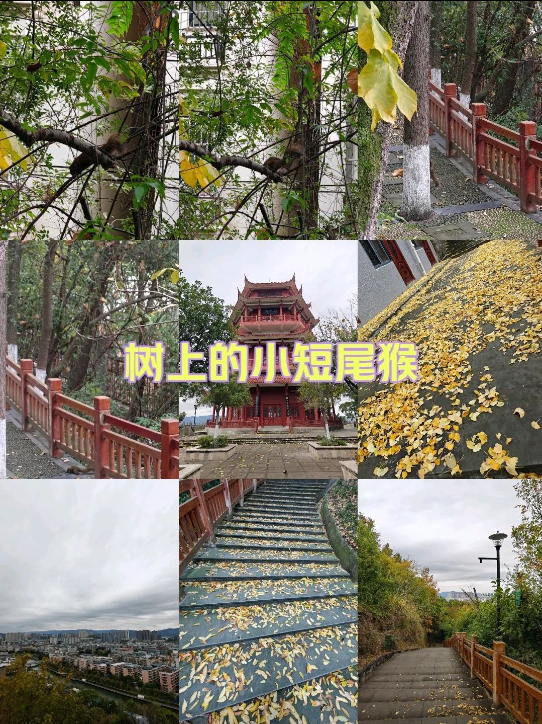 魁山公园