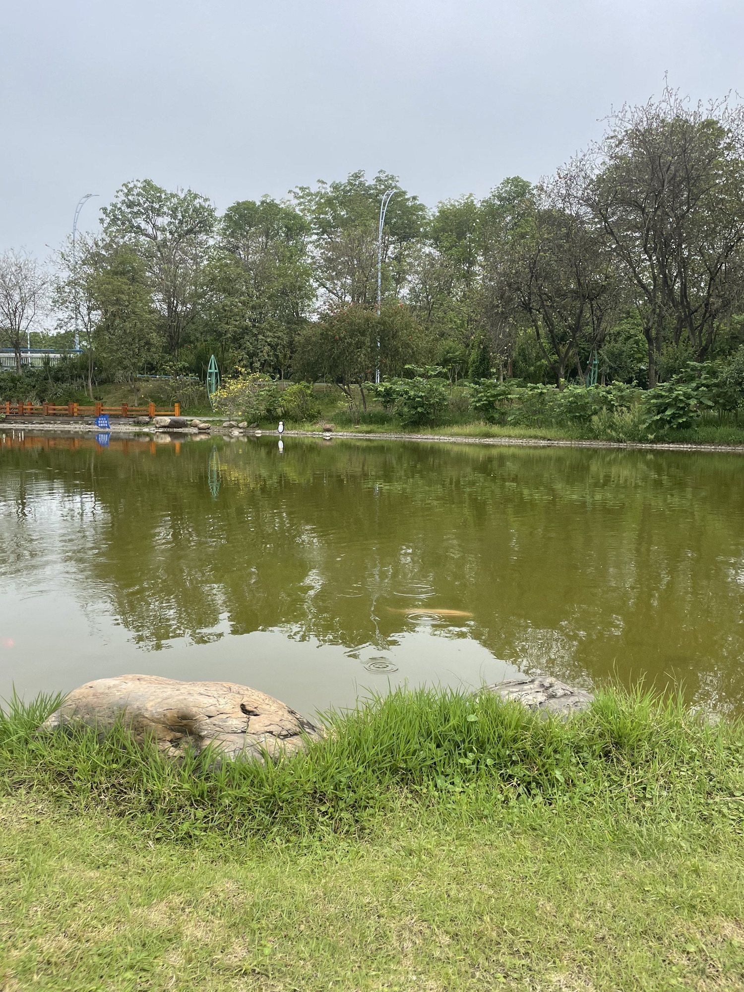 柳州市河东公园旅行图片