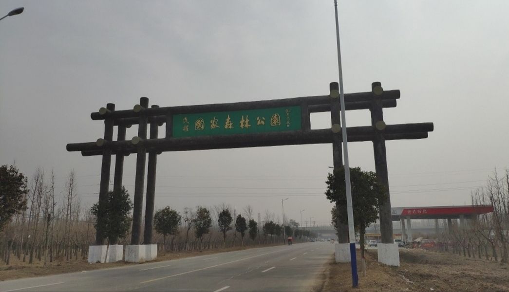 民权国家森林公园旅行图片