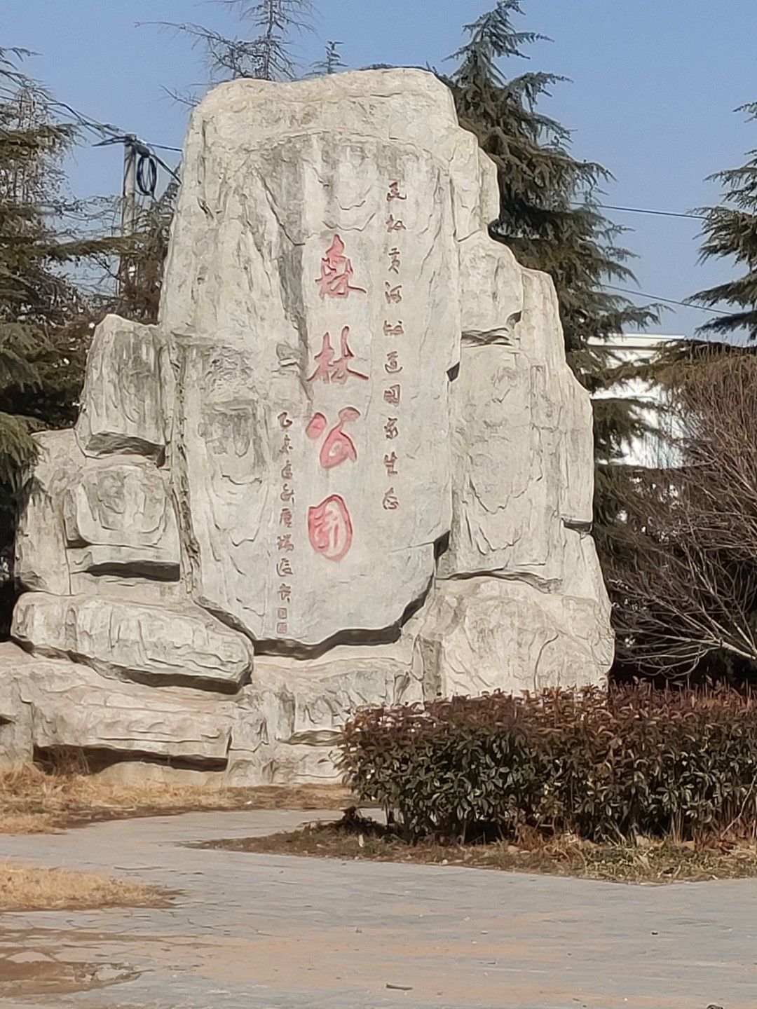 民权国家森林公园旅行图片