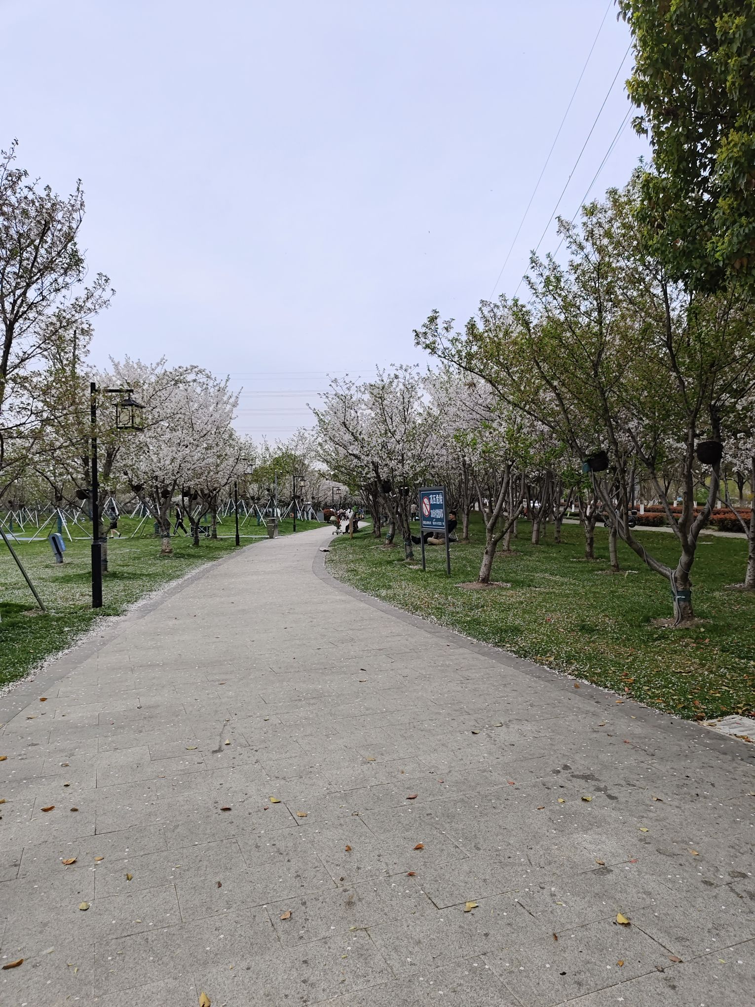 昆山体育生态公园