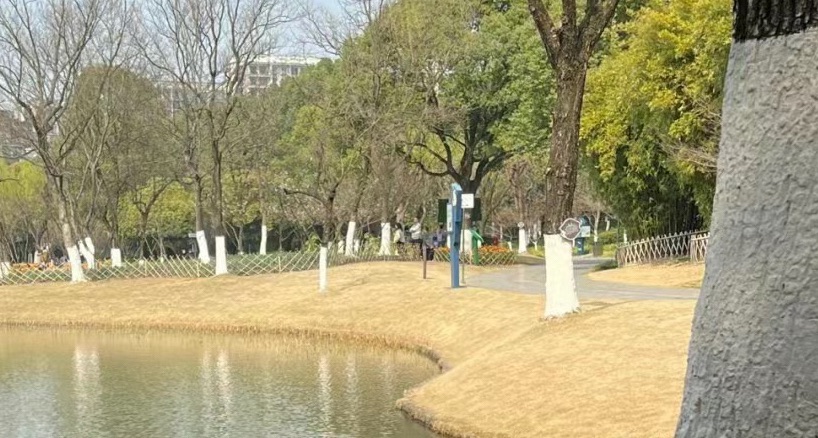 昆山体育生态公园旅行图片