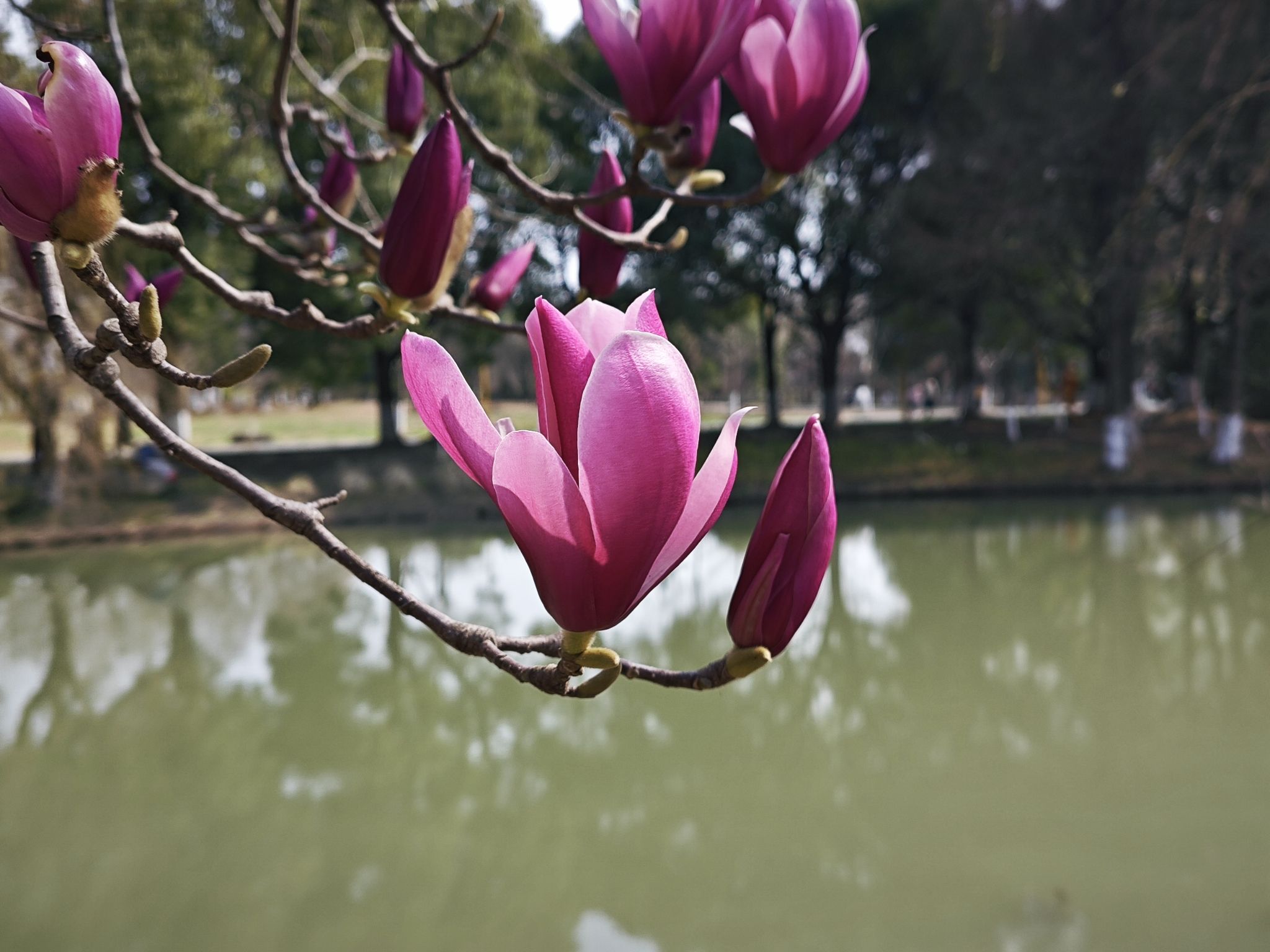 昆山体育生态公园旅行图片