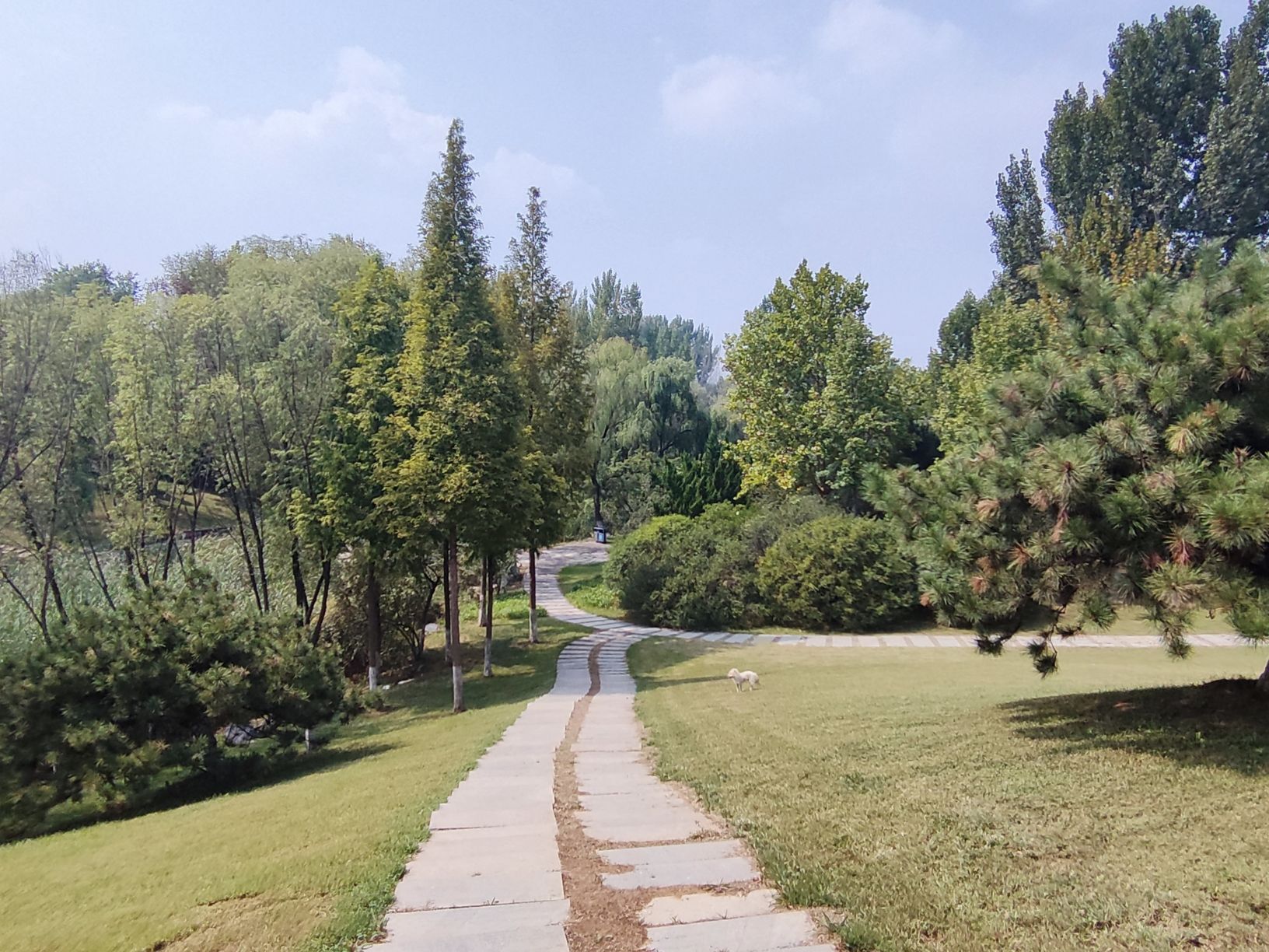 莱芜植物园旅行图片