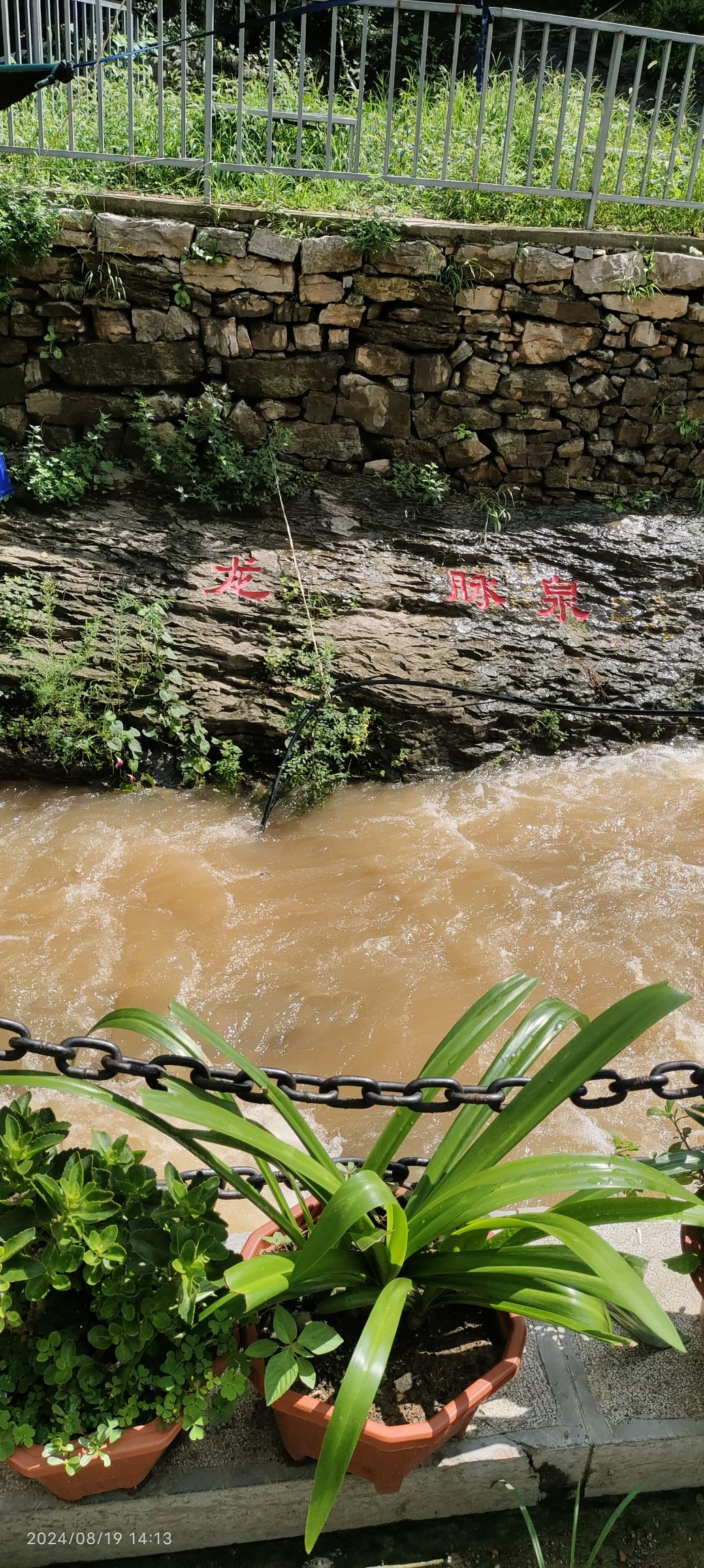 响呼噜泉旅行图片