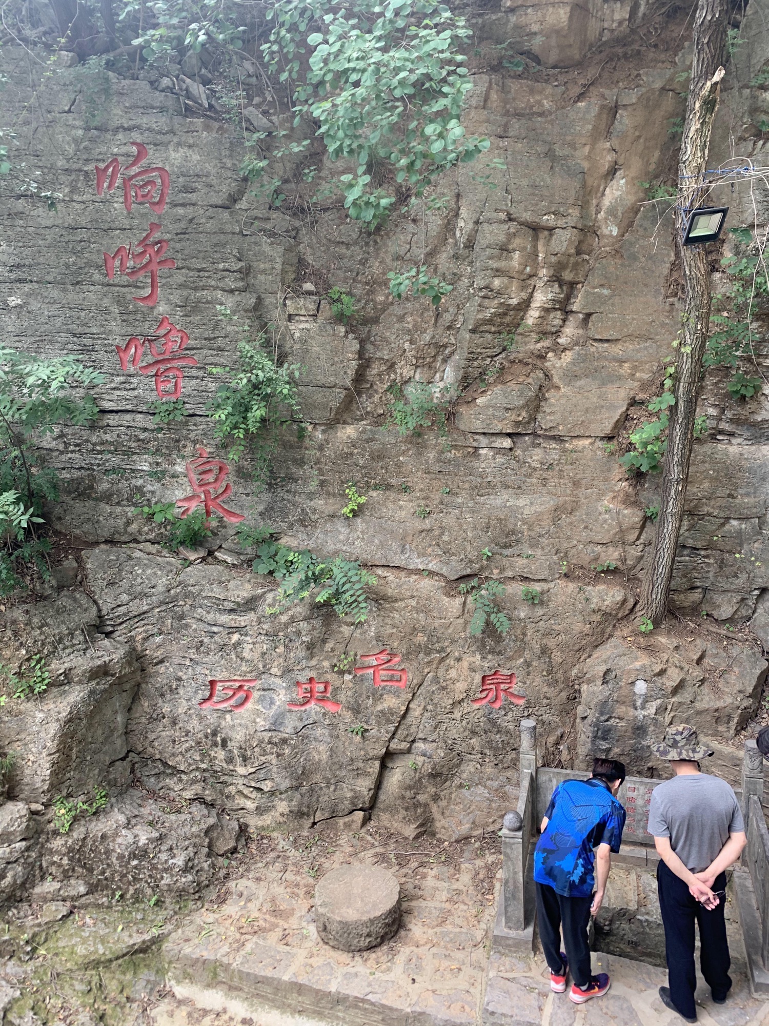 响呼噜泉旅行图片