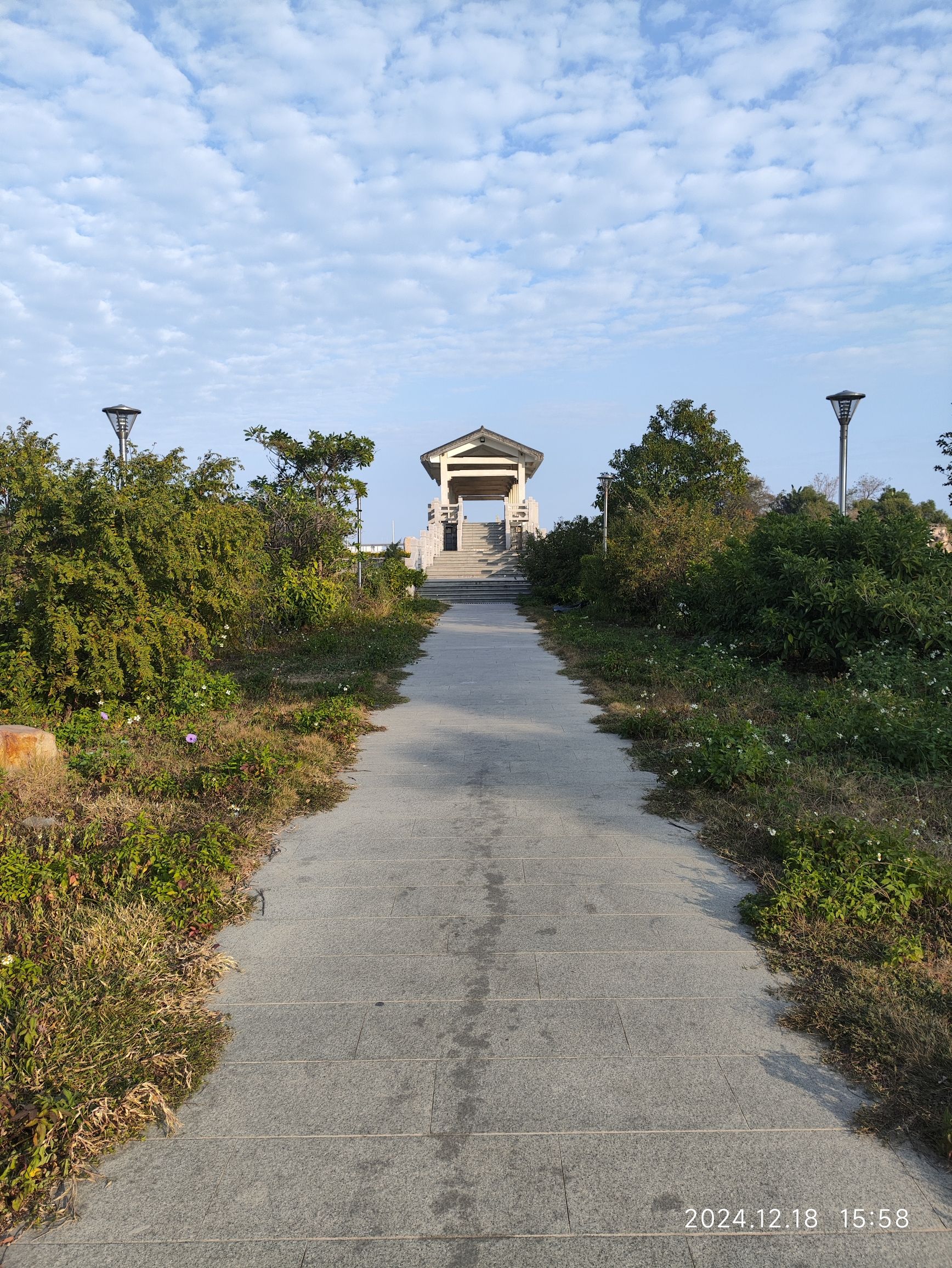 凤岗妈湿地公园