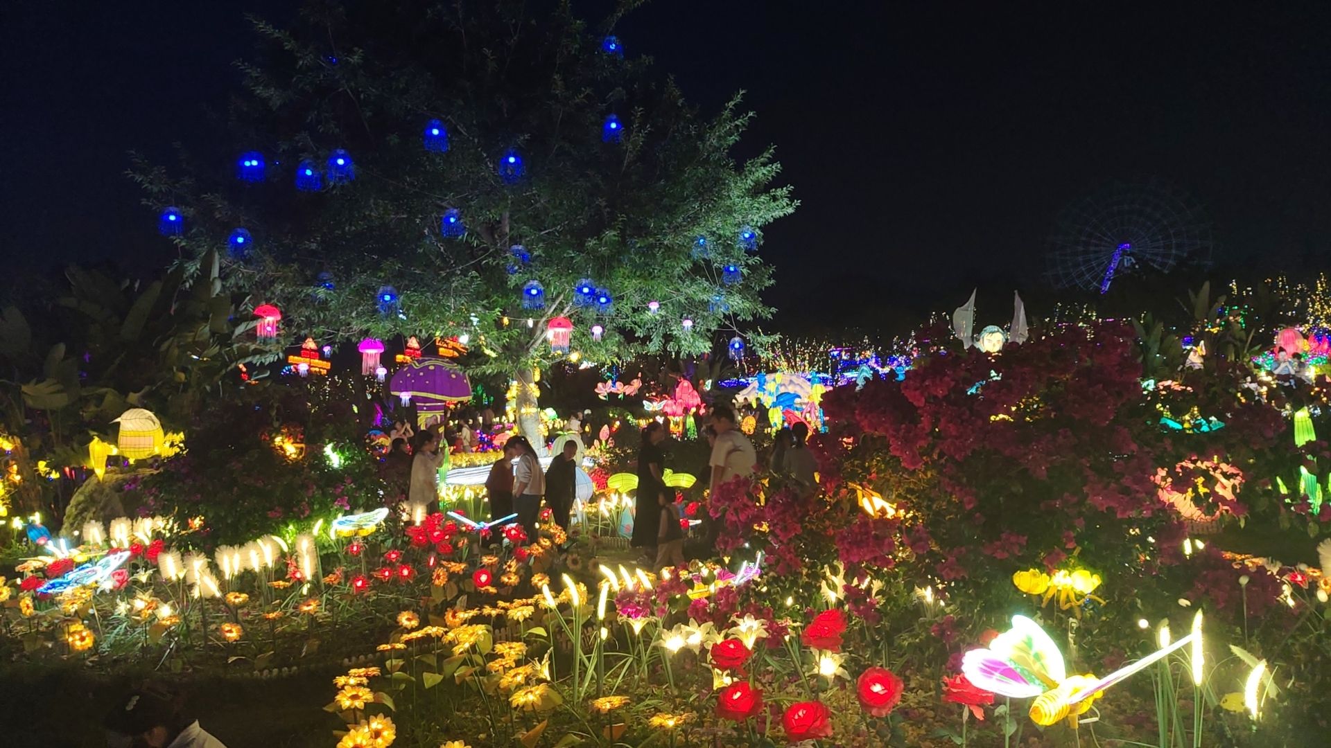 音乐·百花谷旅行图片