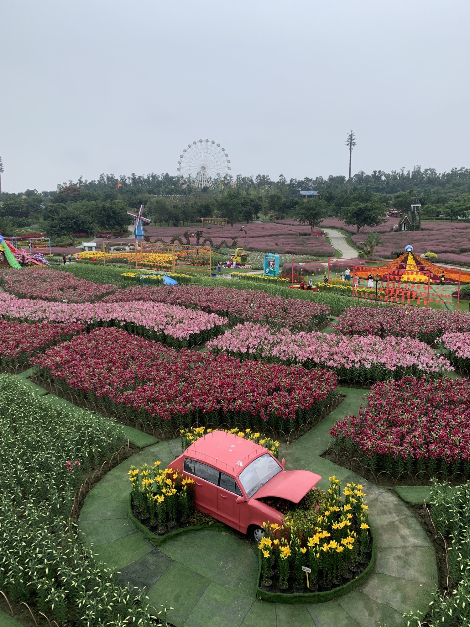 音乐·百花谷旅行图片