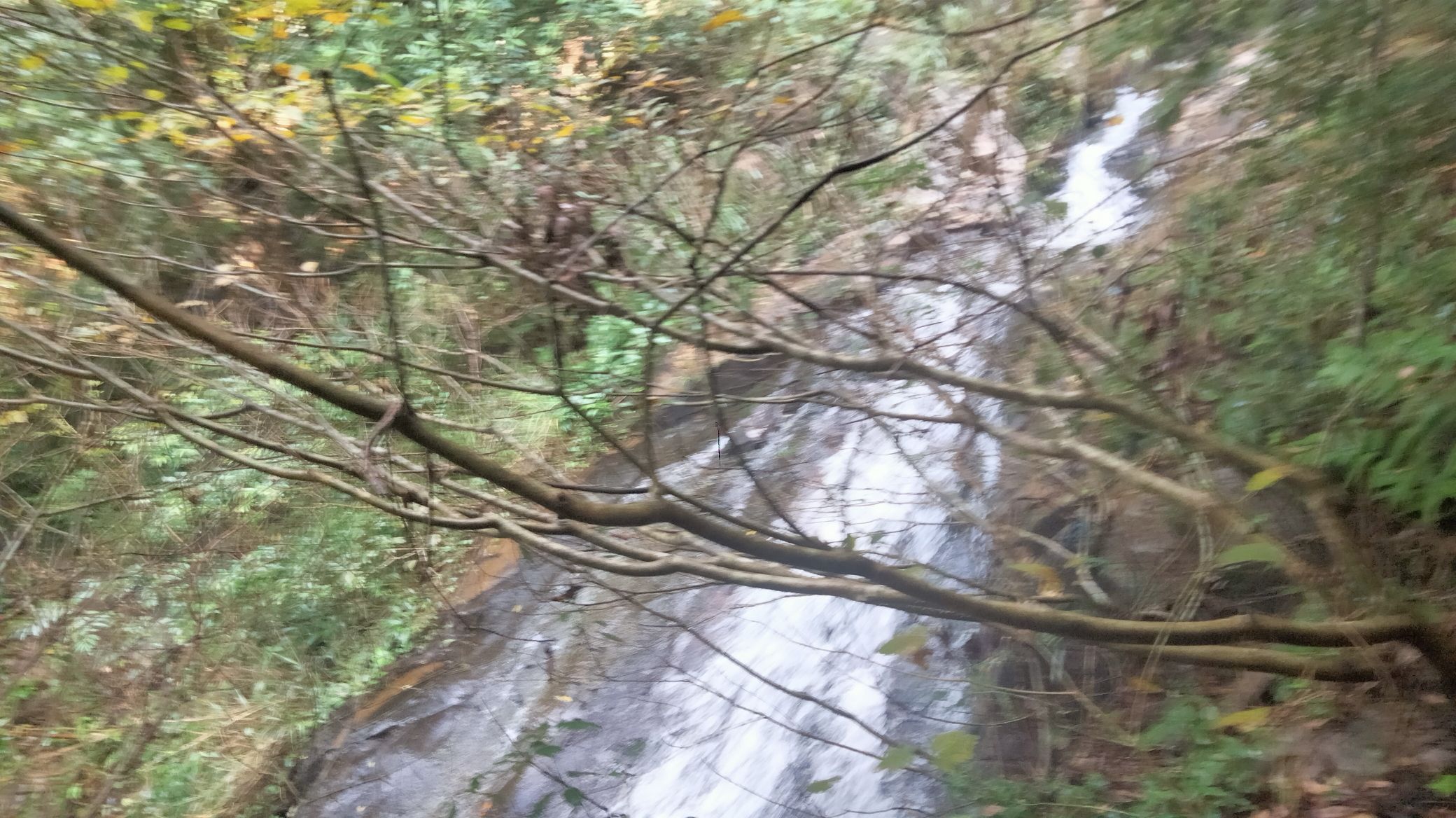 容县石山背休闲公园