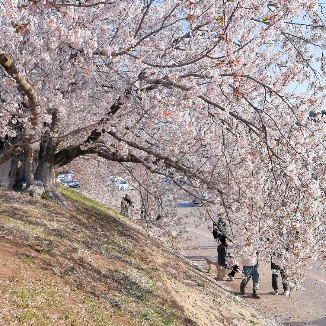 龙王塘旅行图片