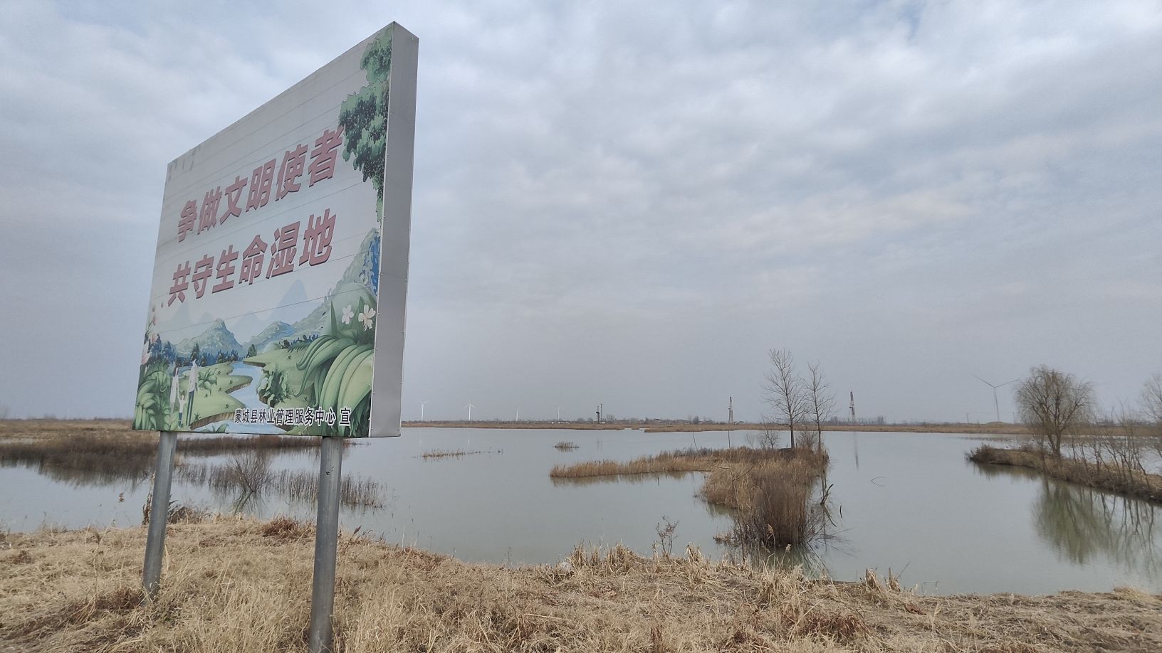 蒙城北淝河国家湿地公园