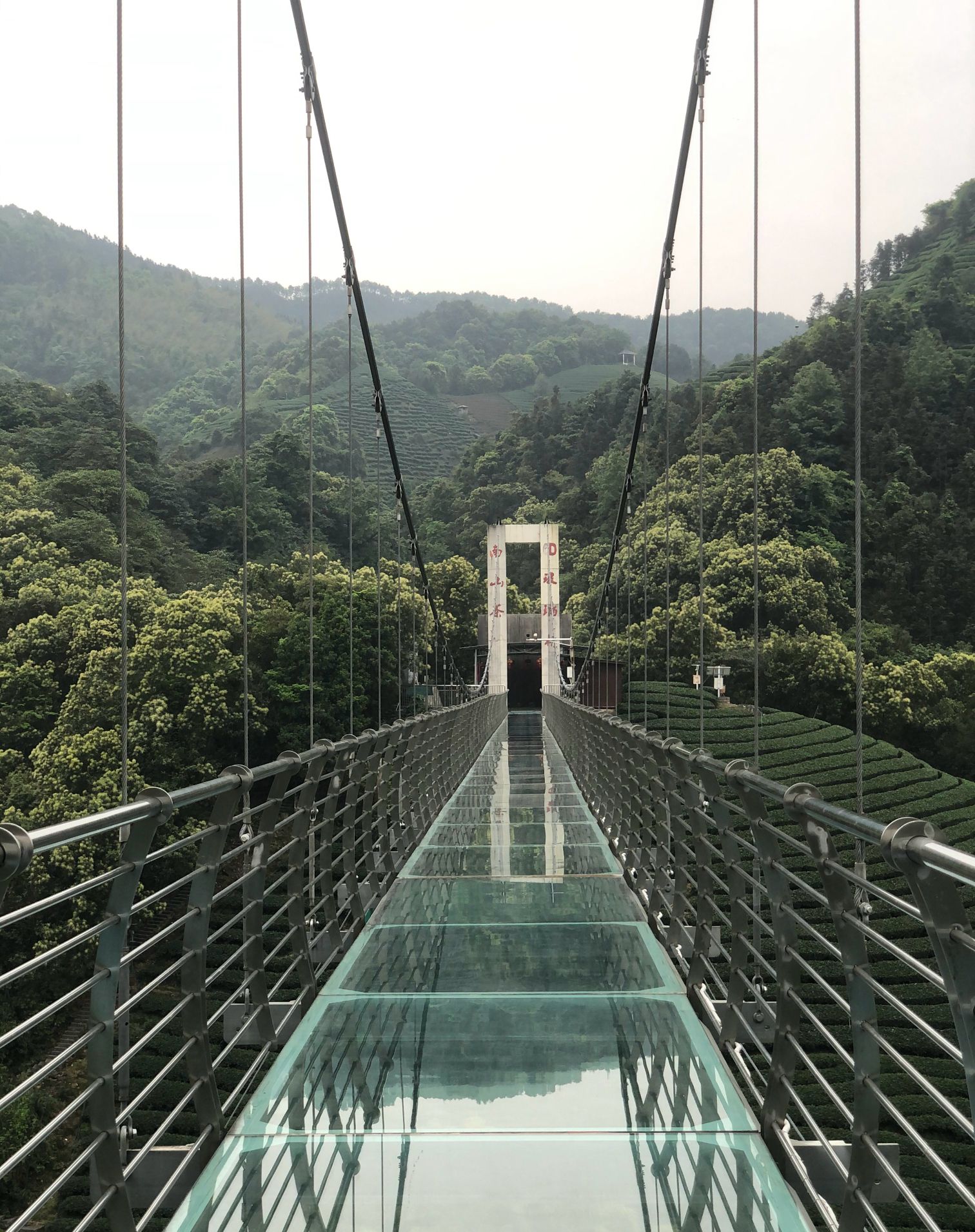 南山茶海旅游风景区