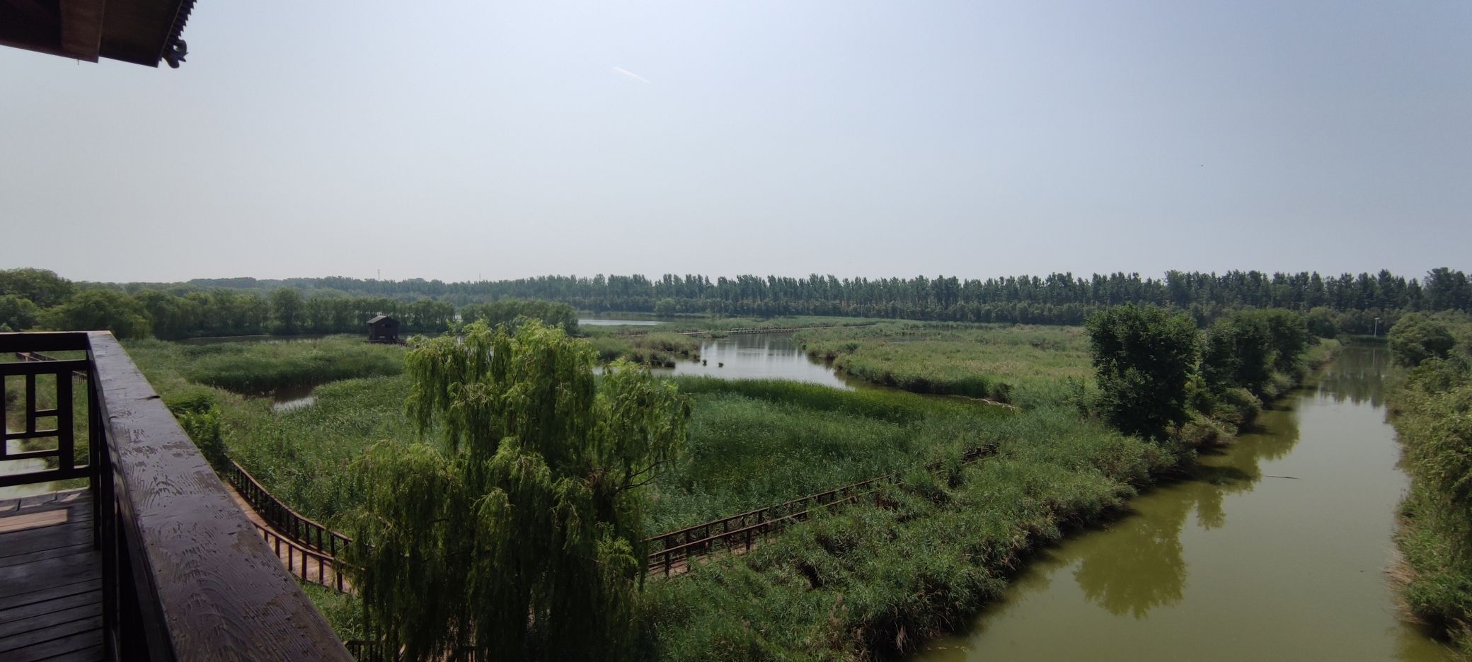 陈桥湿地风景区