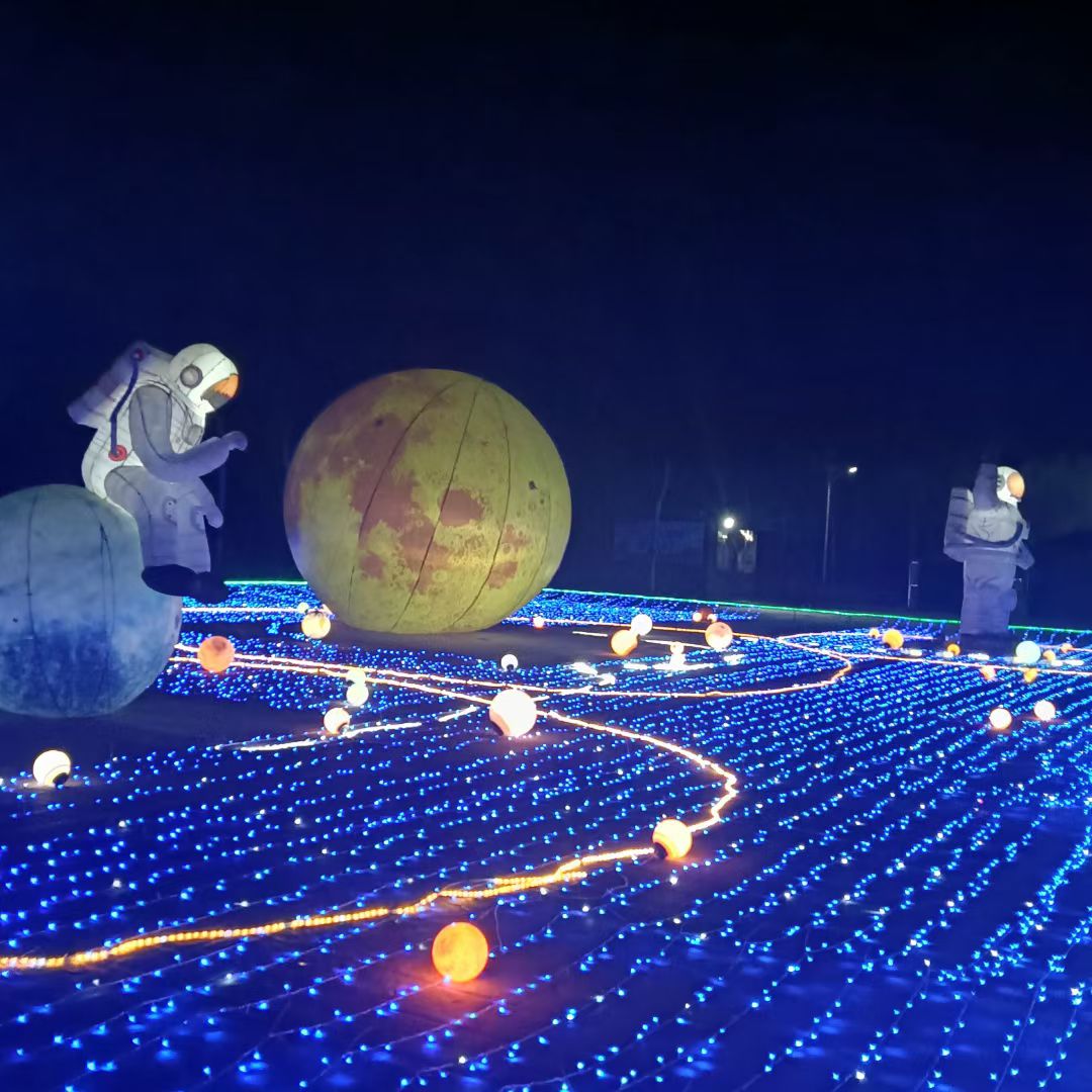 陈桥湿地风景区旅行图片