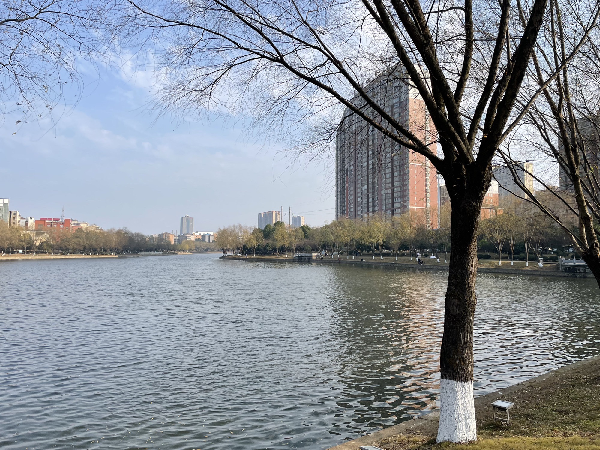 小叶湖滨水休闲公园