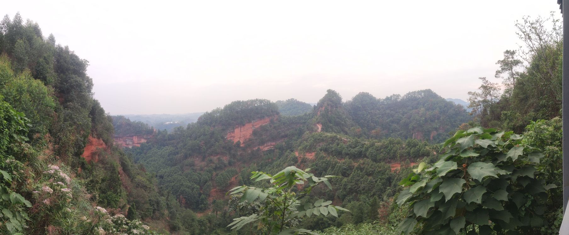 仁和寨景区旅行图片