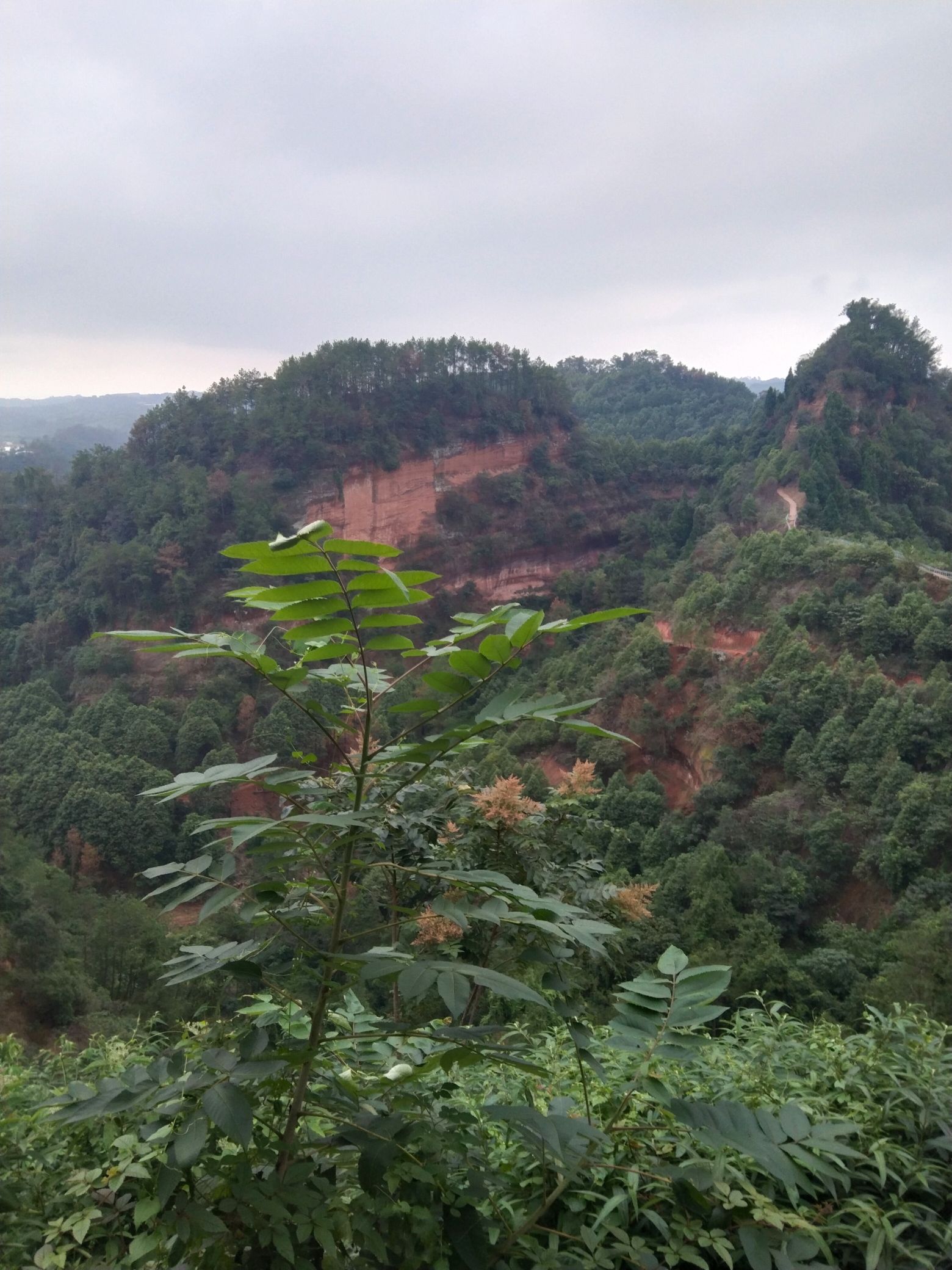 仁和寨景区旅行图片