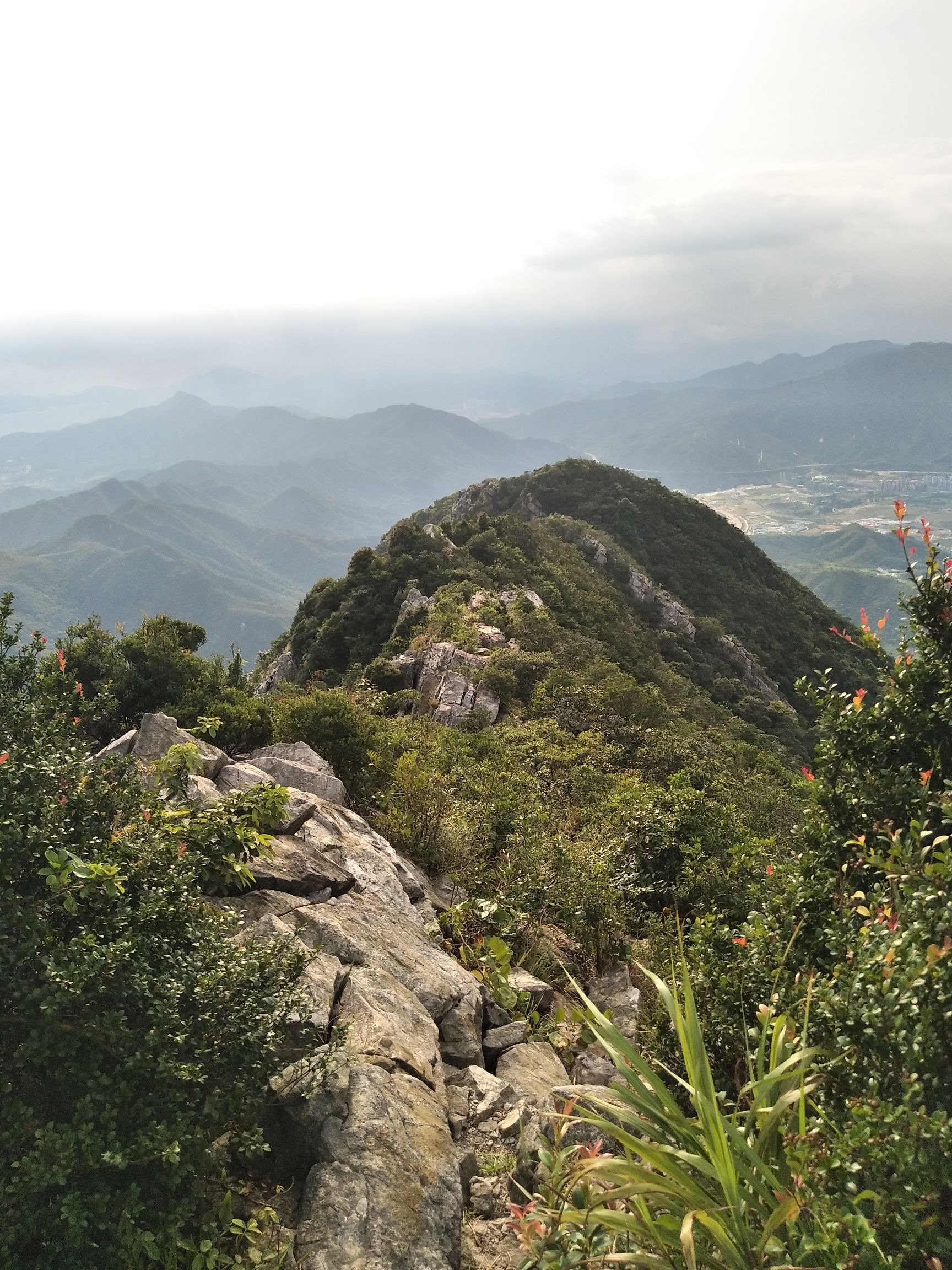 排牙山旅行图片